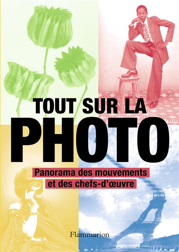 TOUT SUR LA PHOTO - PANORAMA DES MOUVEMENTS ET DES CHEFS-D-OEUVRE - COLLECTIF - FLAMMARION