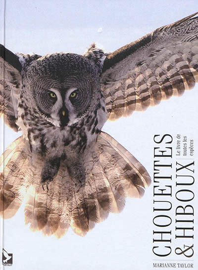 CHOUETTES ET HIBOUX - TAYLOR MARIANNE - GERFAUT