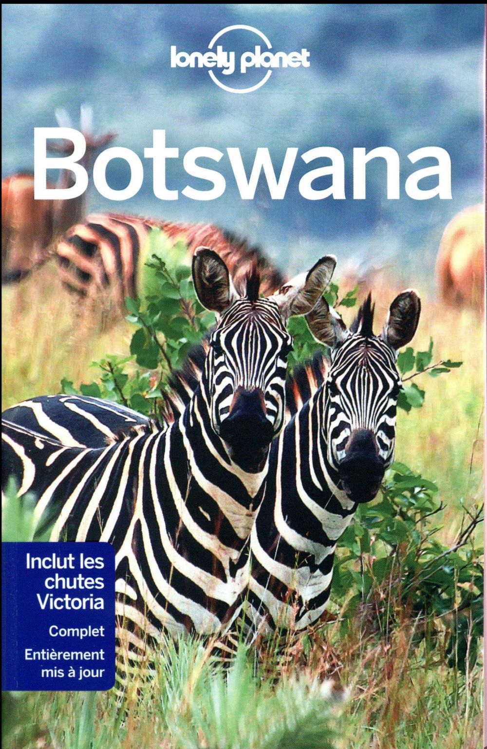 BOTSWANA 1ED - HAM/HOLDEN - Lonely planet