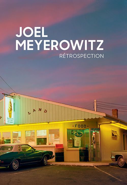 Rétrospection - MEYEROWITZ JOEL/DELABY MARIE , Meyerowitz Joel, Delaby Marie - TEXTUEL