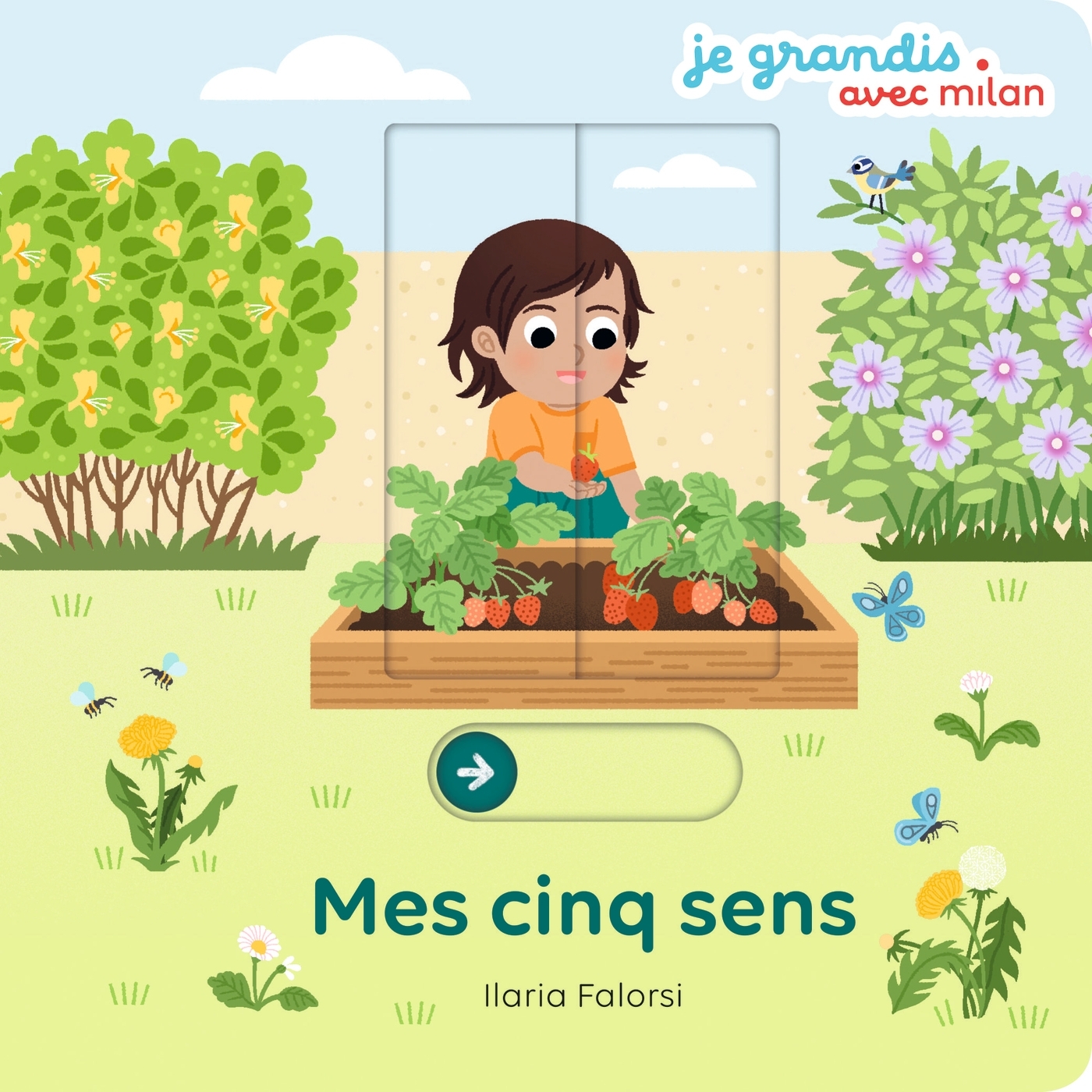 Mes 5 sens - Anne Blanchard, Ilaria Falorsi, Anne Blanchard, Ilaria Falorsi - MILAN