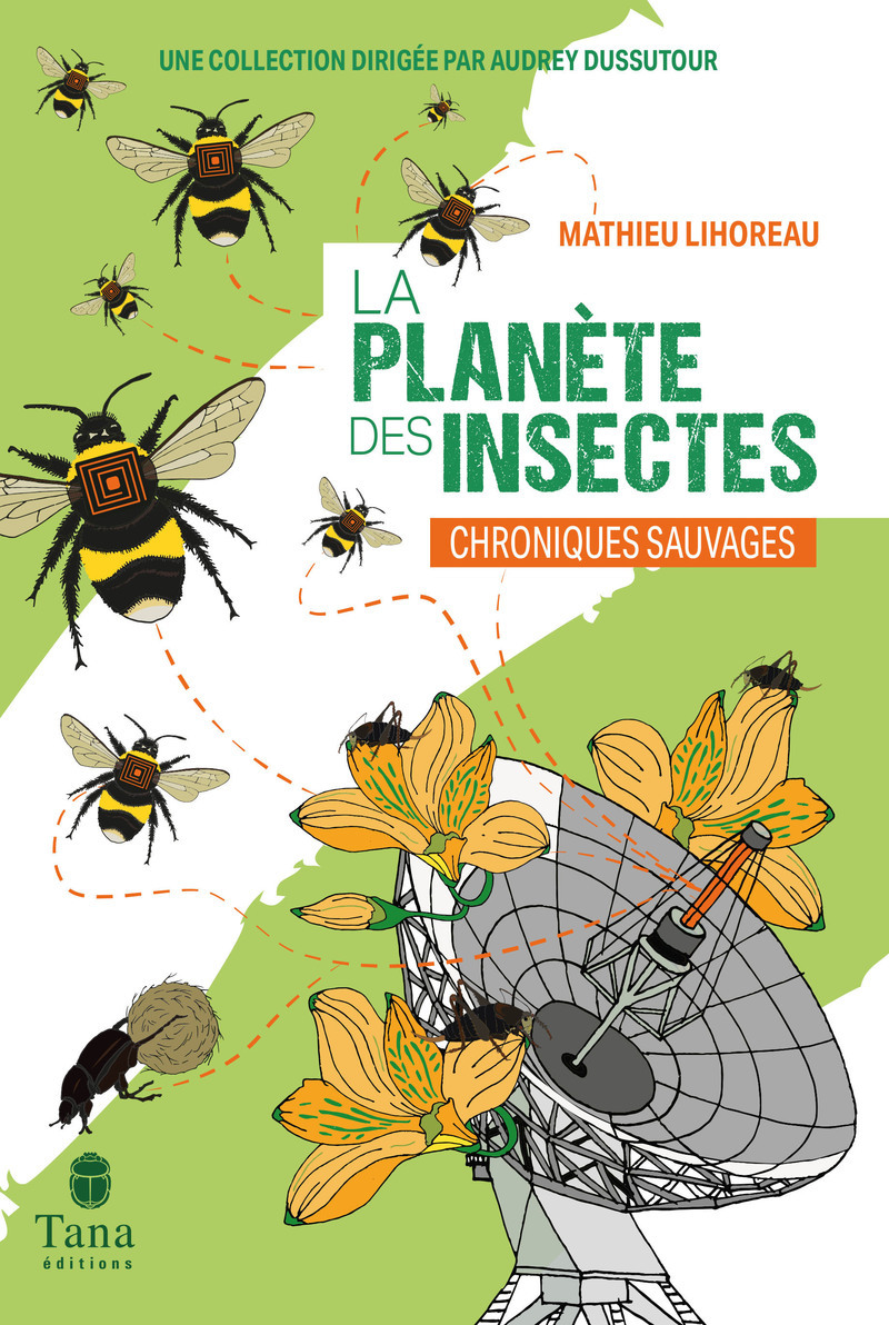 La Planète des insectes - Mathieu LIHOREAU - TANA