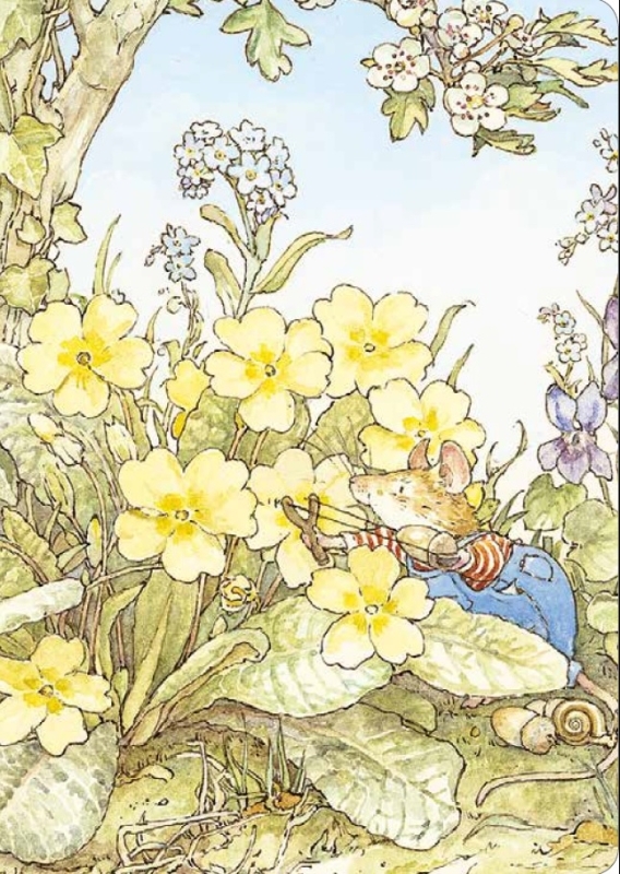 Carnet Printemps -  - QILINN