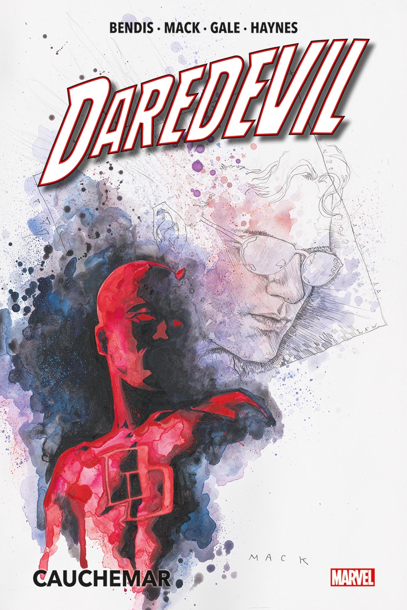 Daredevil : Cauchemar - Brian Michael Bendis, BOB GALE, David Mack, Phil Winslade, Rob Haynes - PANINI