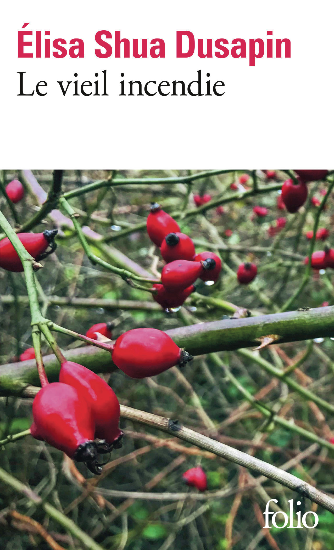 Le vieil incendie - Élisa Shua Dusapin - FOLIO
