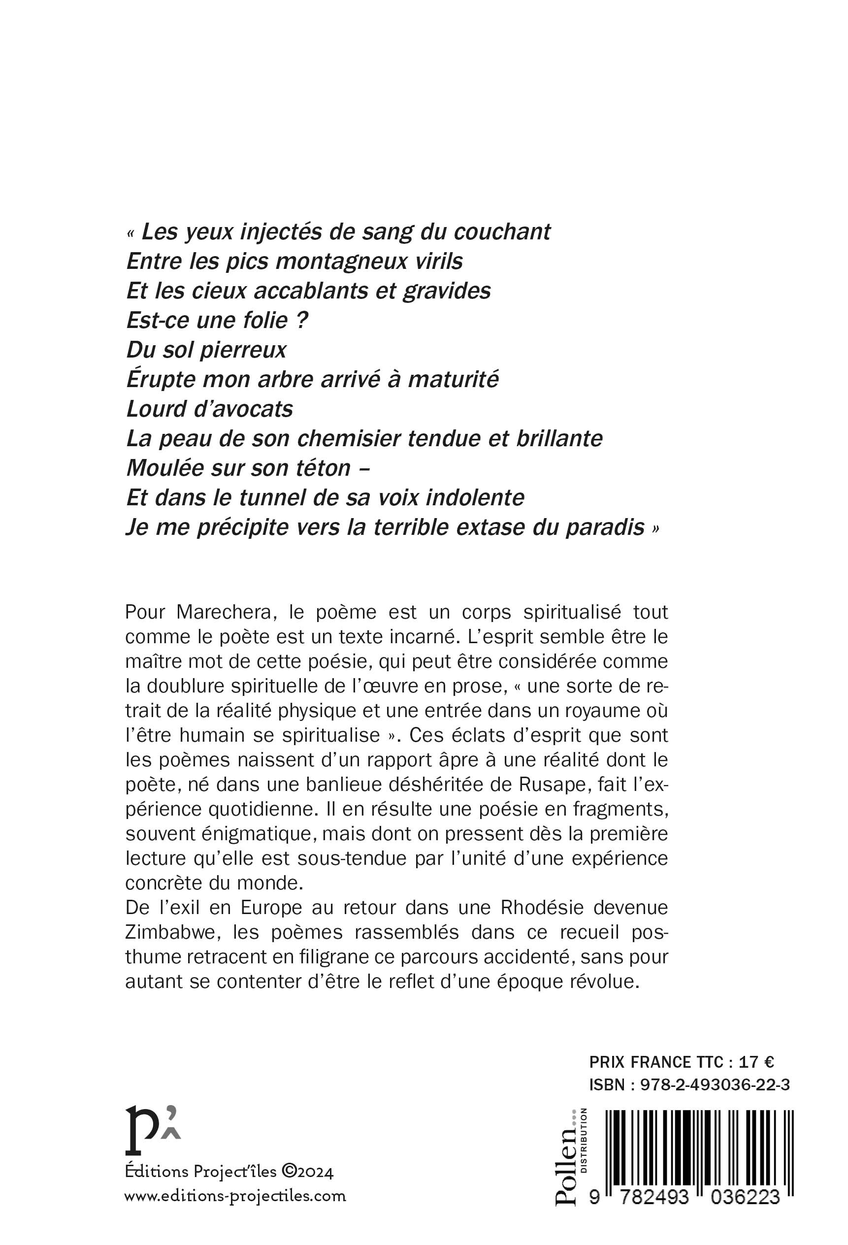 Cimetière de l'esprit - Dambudzo Marechera, Xavier Garnier, Pierre Leroux - PROJECT ILES