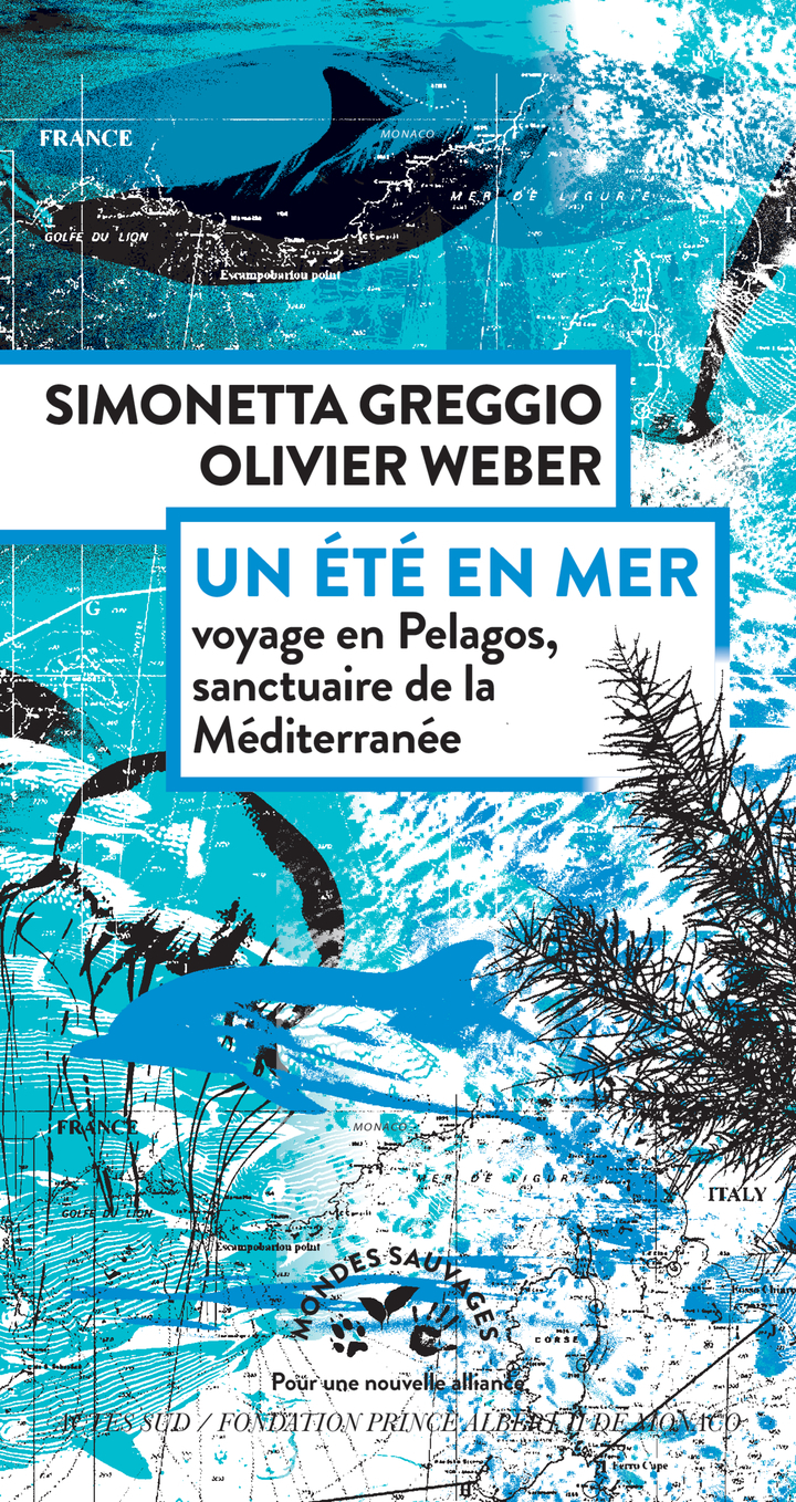 Un été en mer - Simonetta Greggio, Olivier Weber, Anne Settimelli - ACTES SUD