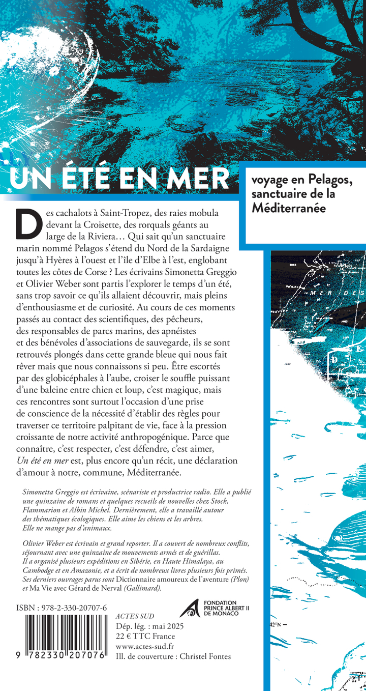 Un été en mer - Simonetta Greggio, Olivier Weber, Anne Settimelli - ACTES SUD