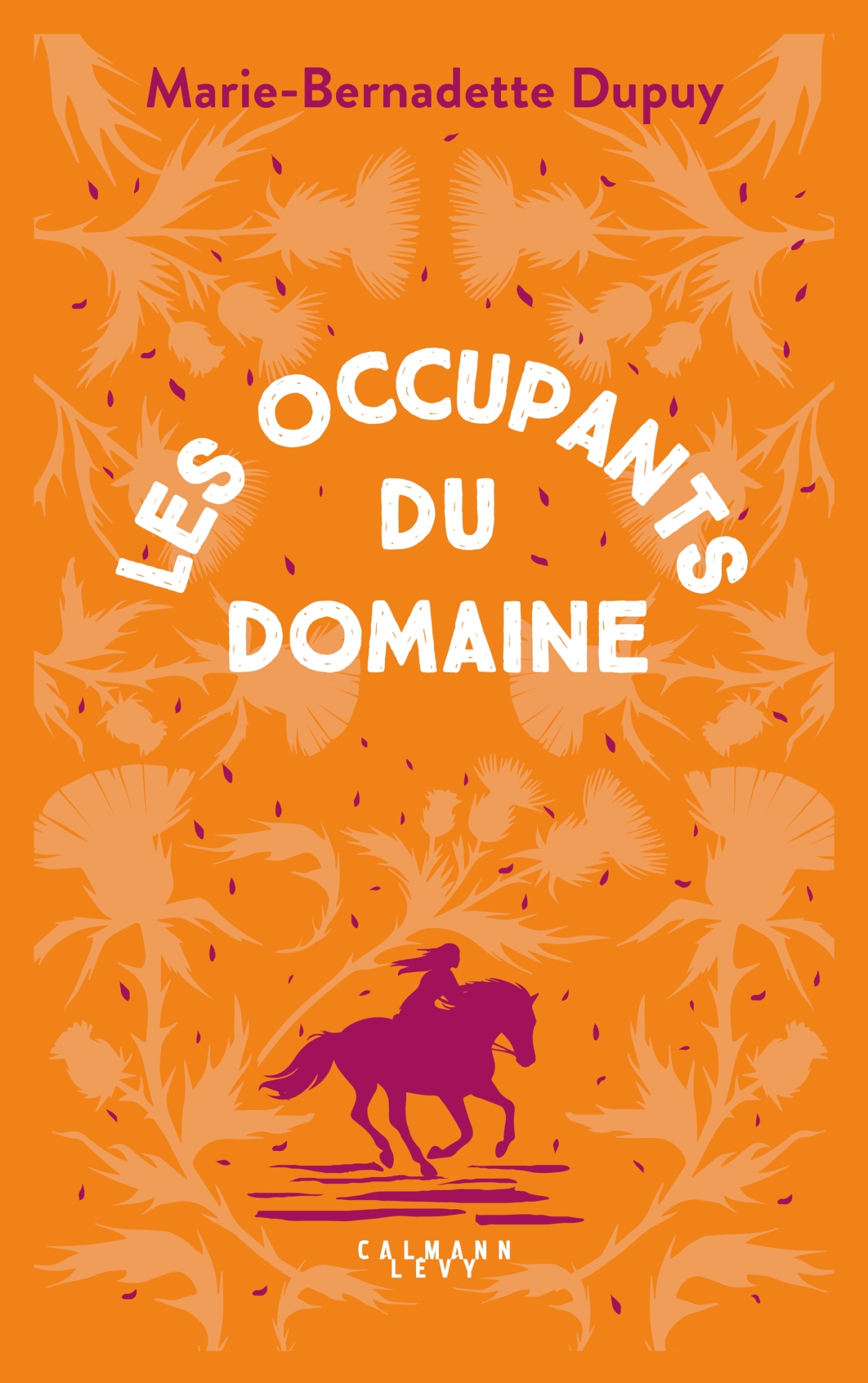 Le Moulin du Loup, T6 - Les Occupants du Domaine - Marie-Bernadette Dupuy - CALMANN-LEVY