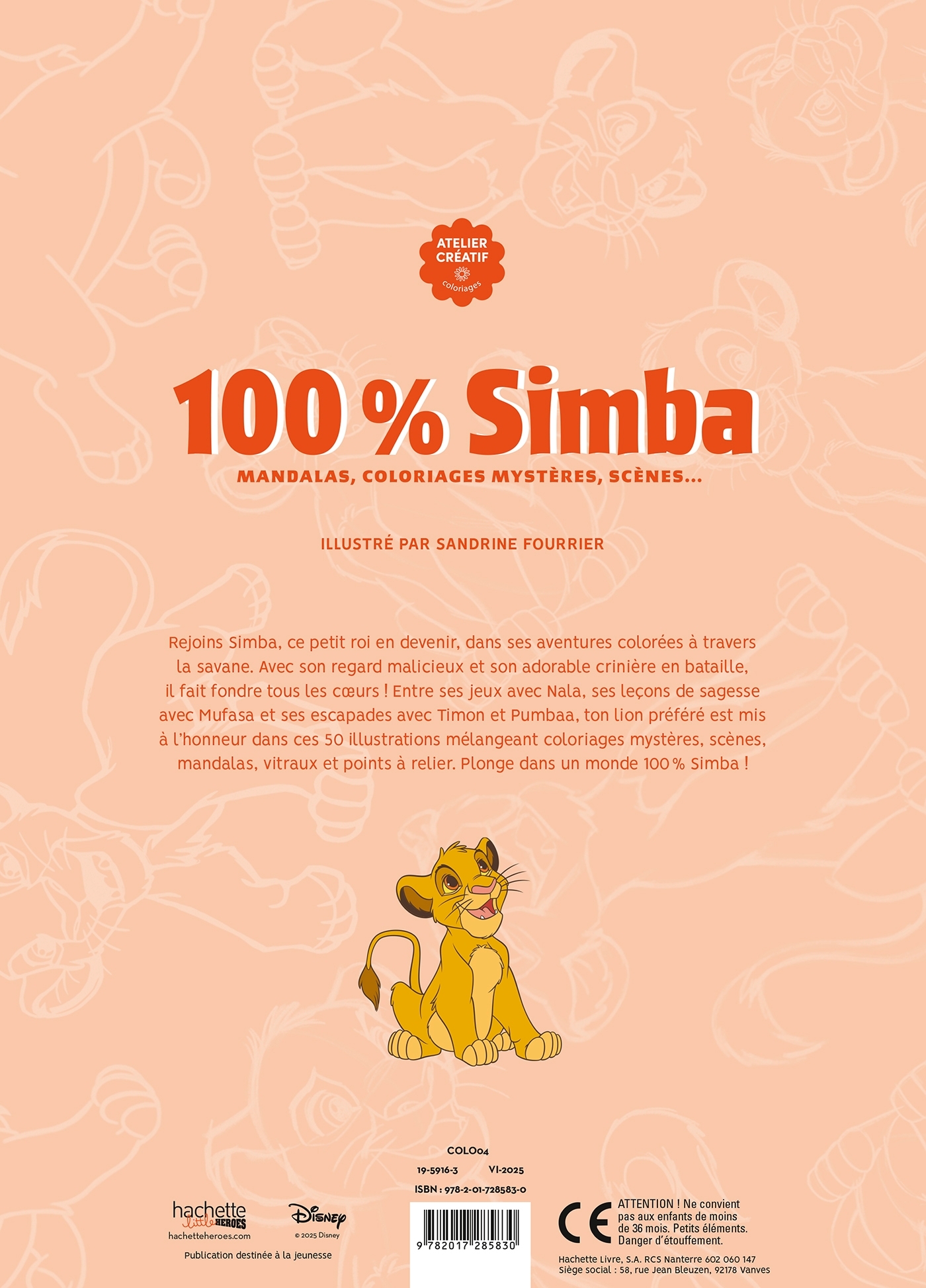 100 % Simba - Sandrine Fourrier - HACHETTE HEROES