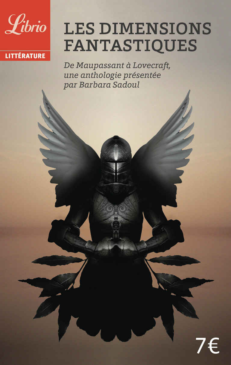 Les Dimensions fantastiques - Barbara Sadoul - J'AI LU