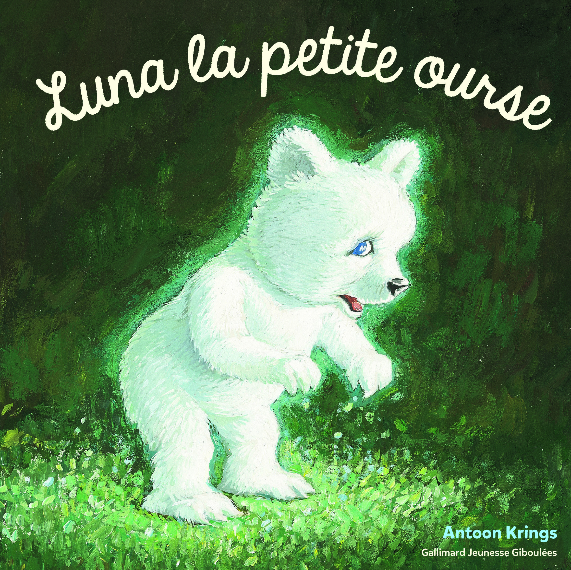 Luna la petite ourse - Antoon Krings - GALL JEUN GIBOU