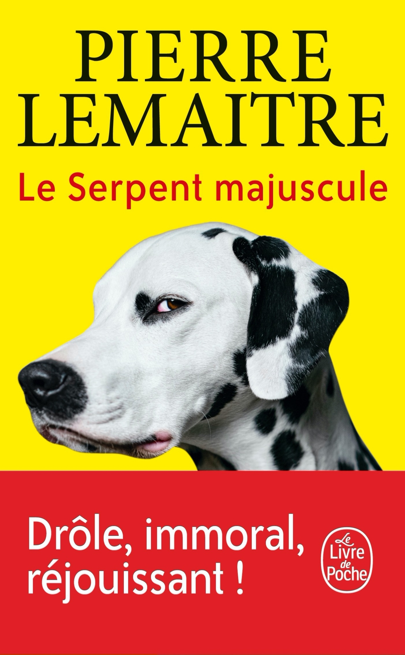 Le Serpent majuscule - Pierre Lemaitre - LGF