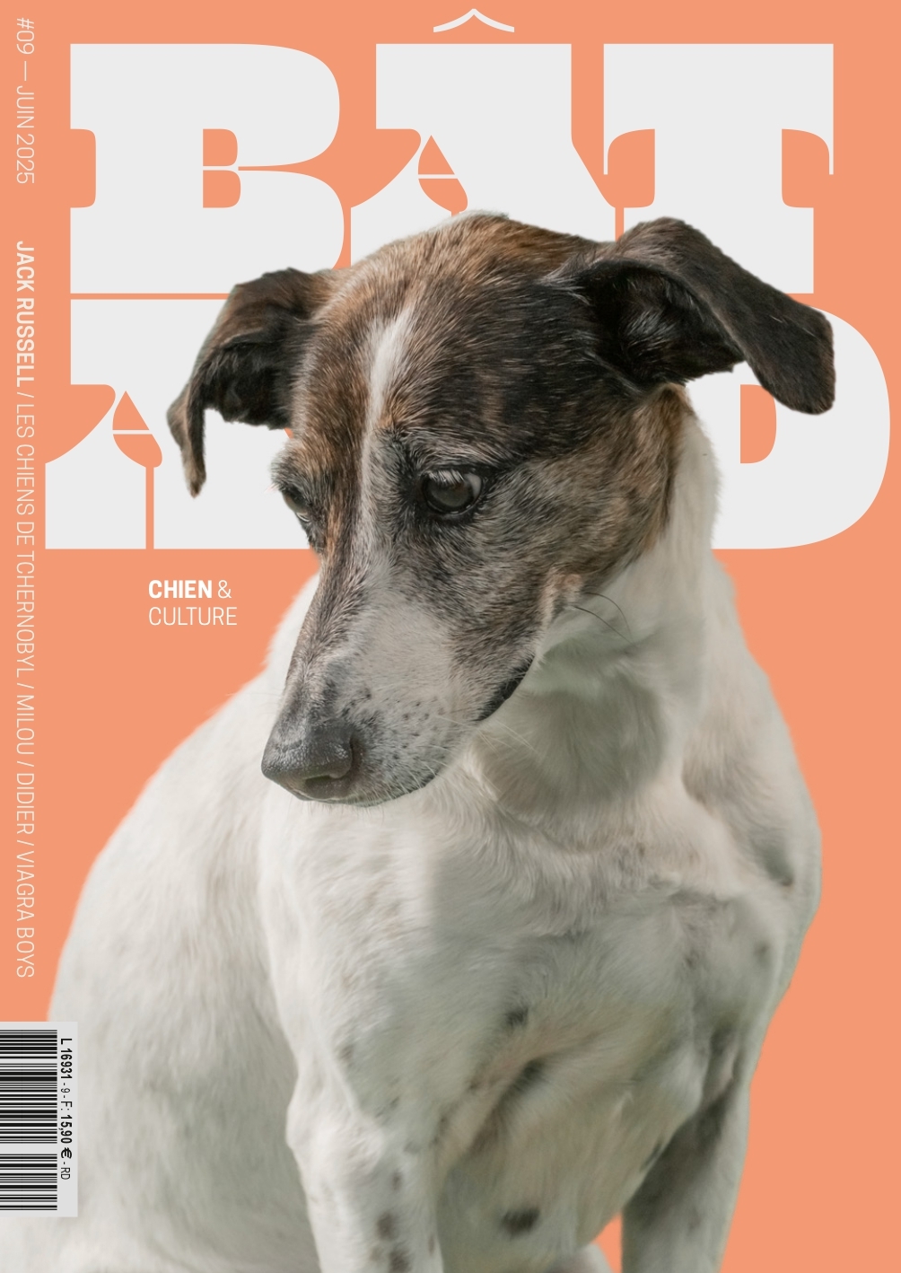 Bâtard N°9 - Juin 2025 -  Bâtard,  Collectif - DOG SOCIAL CLUB