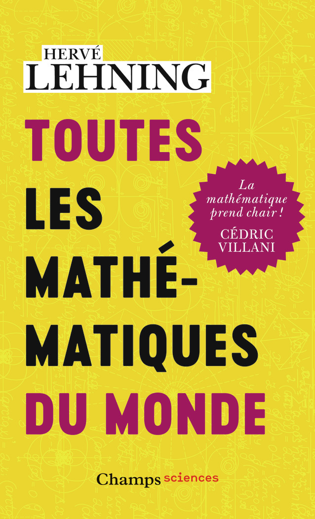Toutes les mathématiques du monde - Herve Lehning - FLAMMARION