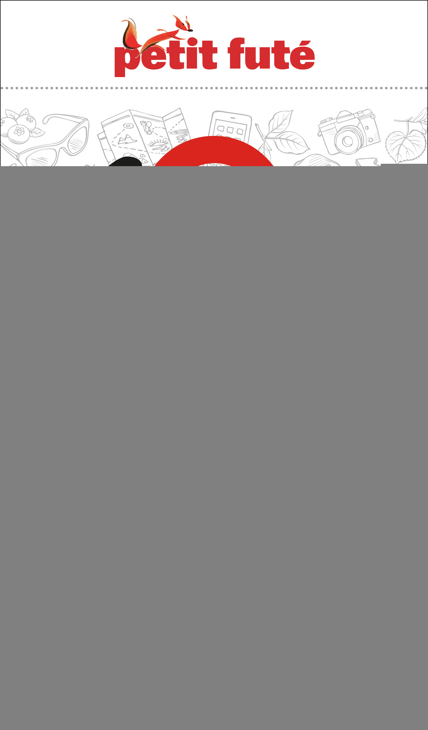 Guide Ghana 2023/2024 Petit Futé -  Auzias d. / labourdette j. & alter, Jean-Paul Labourdette, Dominique Auzias - PETIT FUTE