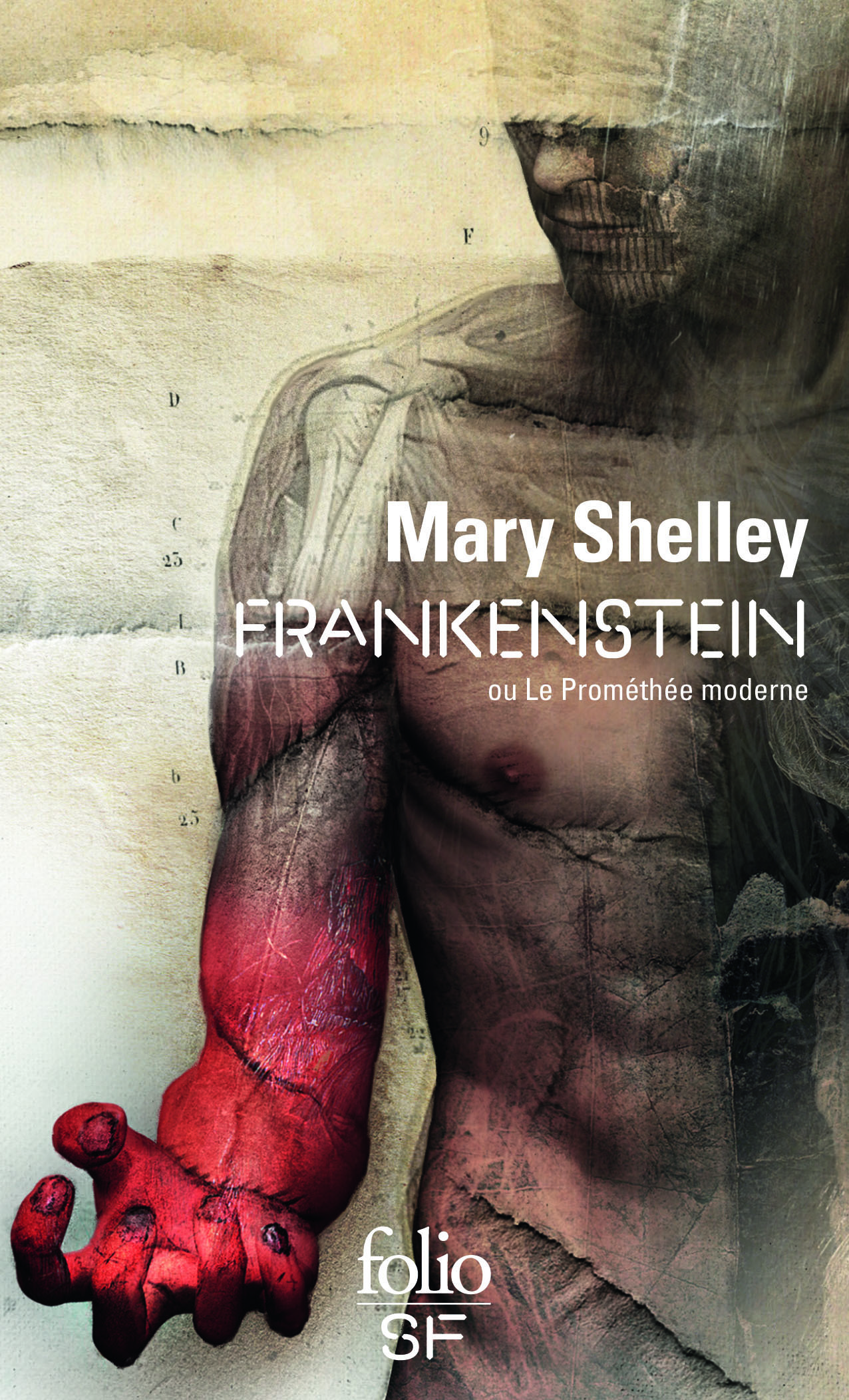 FRANKENSTEIN OU LE PROMÉTHÉE MODERNE - Mary Shelley - FOLIO