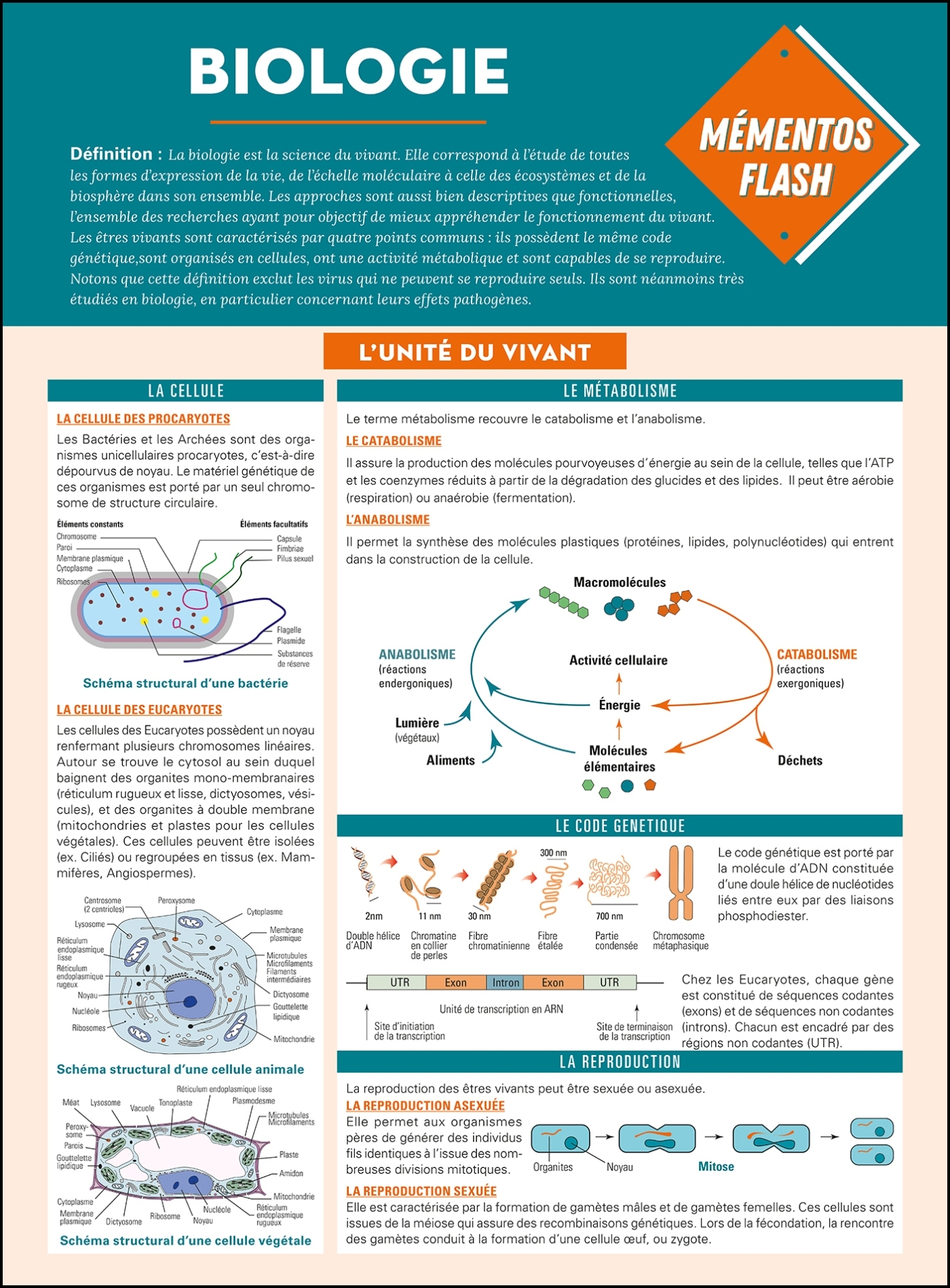 Biologie - Daniel Richard - DUNOD