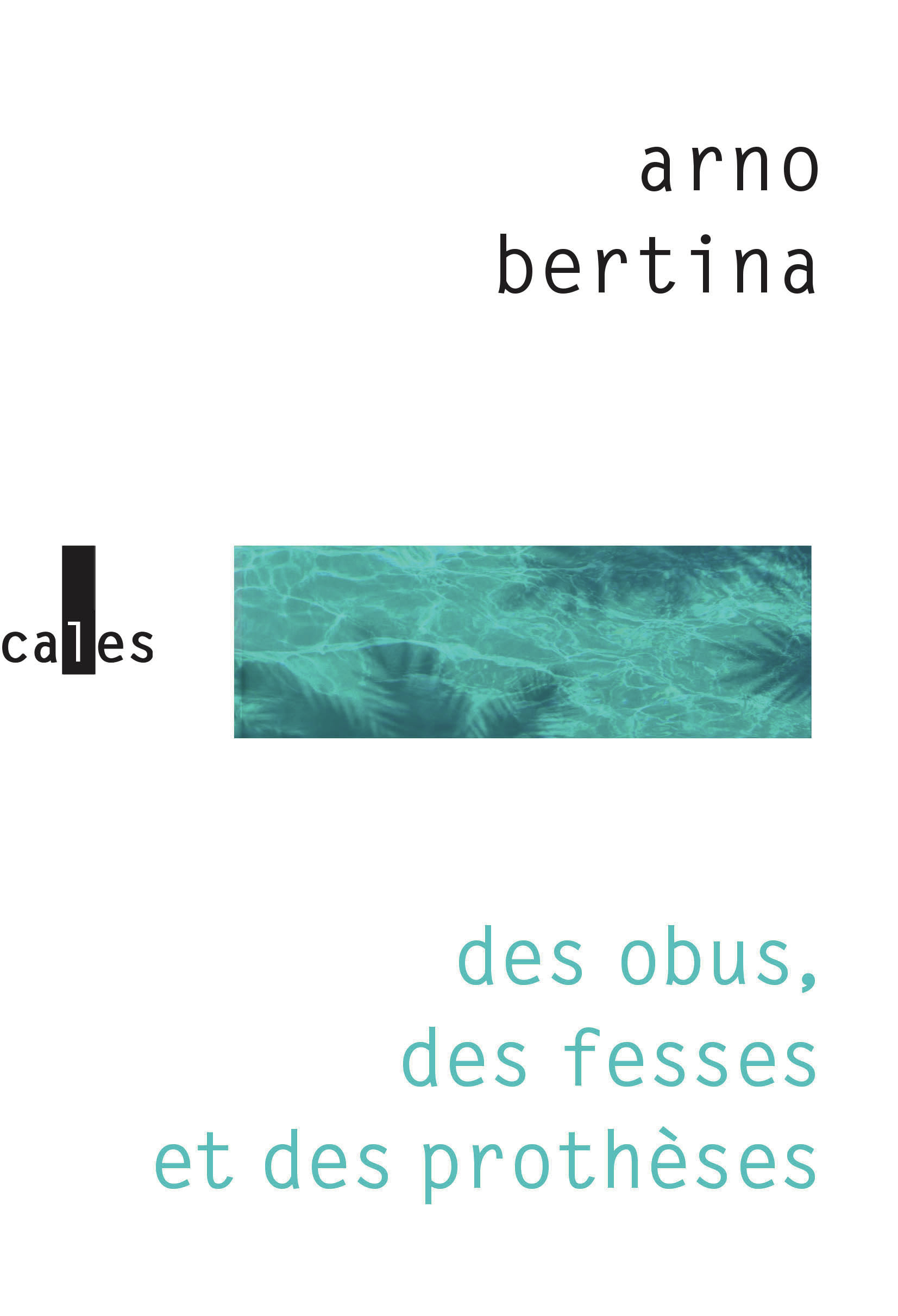 Des obus, des fesses et des prothèses -  ARNO BERTINA, Arno Bertina - VERTICALES