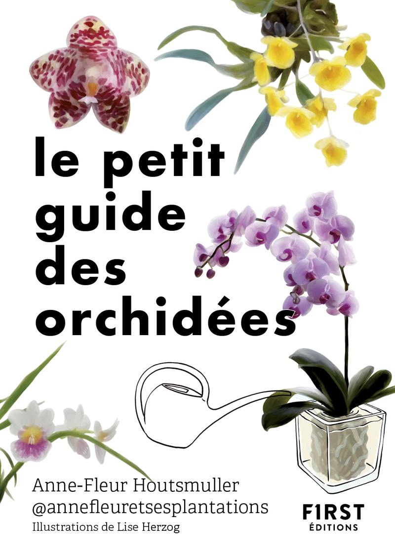 Le Petit guide des orchidées - Anne-Fleur Houtsmuller - FIRST
