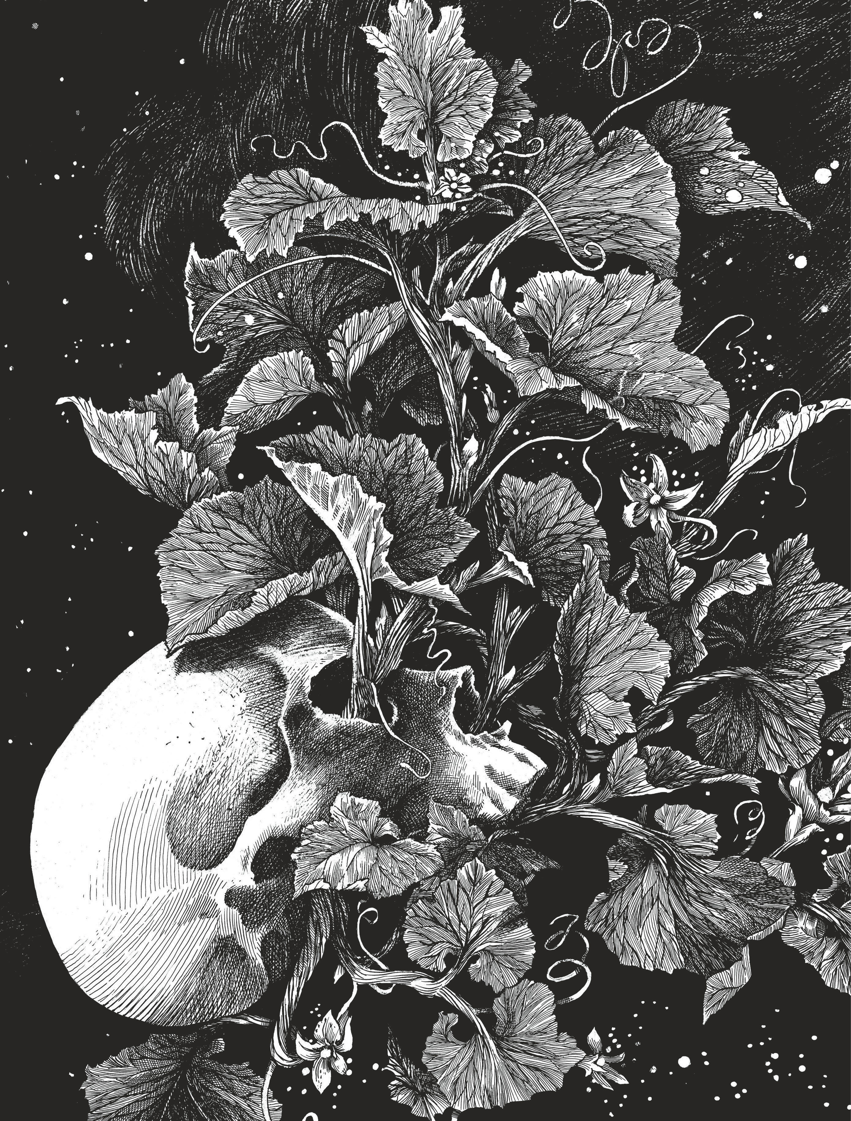 La tête de mort venue de Suède -  Daria Schmitt - DUPUIS