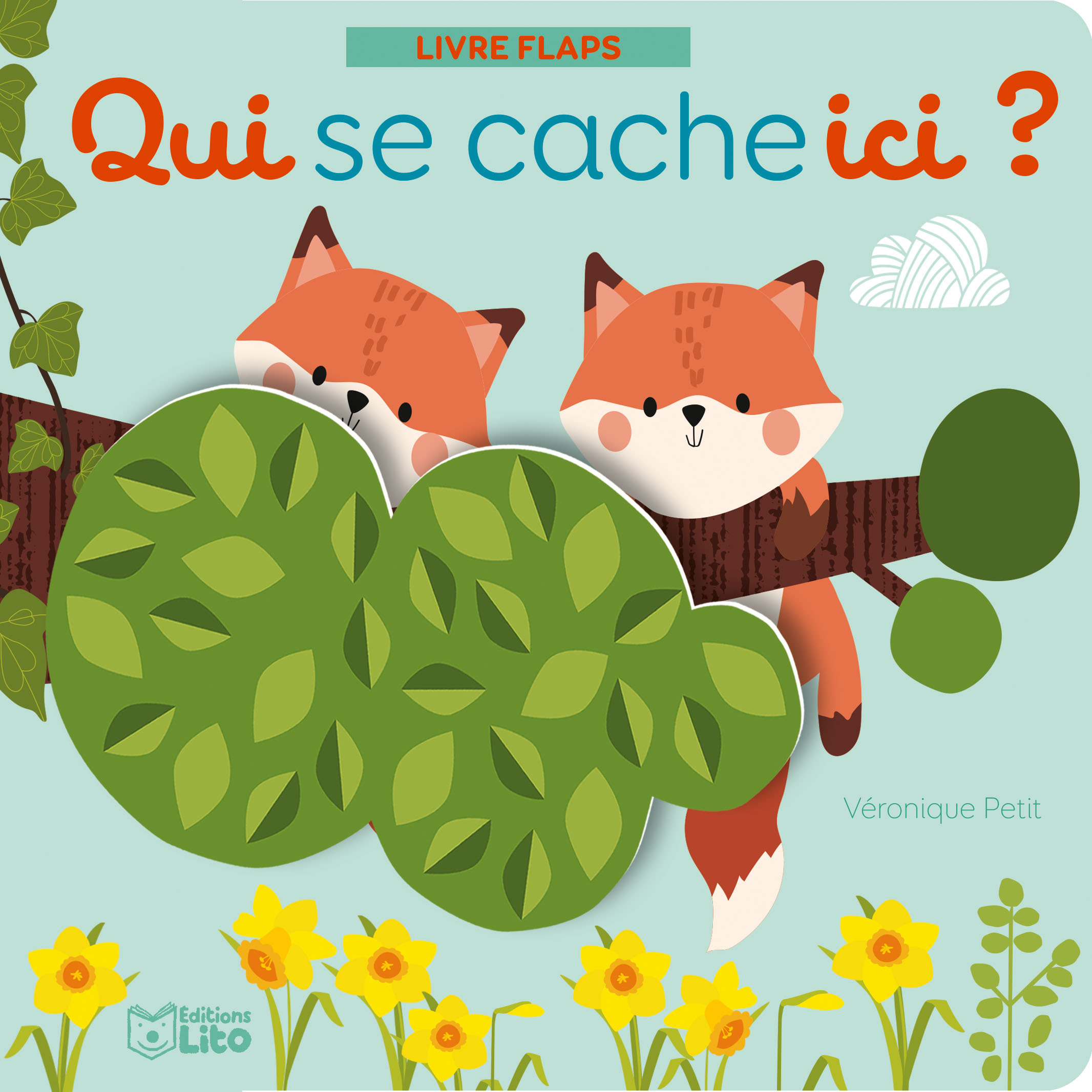 QUI SE CACHE ICI ANI. FORET - XXX - LITO