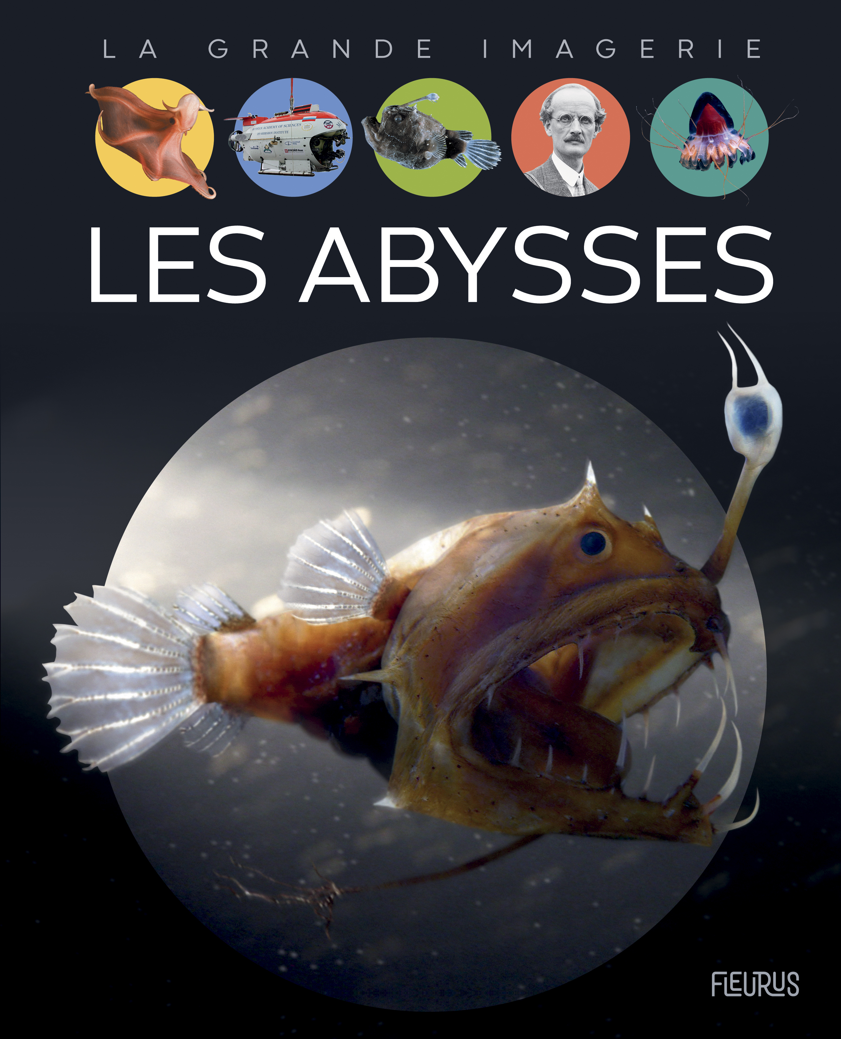Les abysses - Laure Cambournac - FLEURUS
