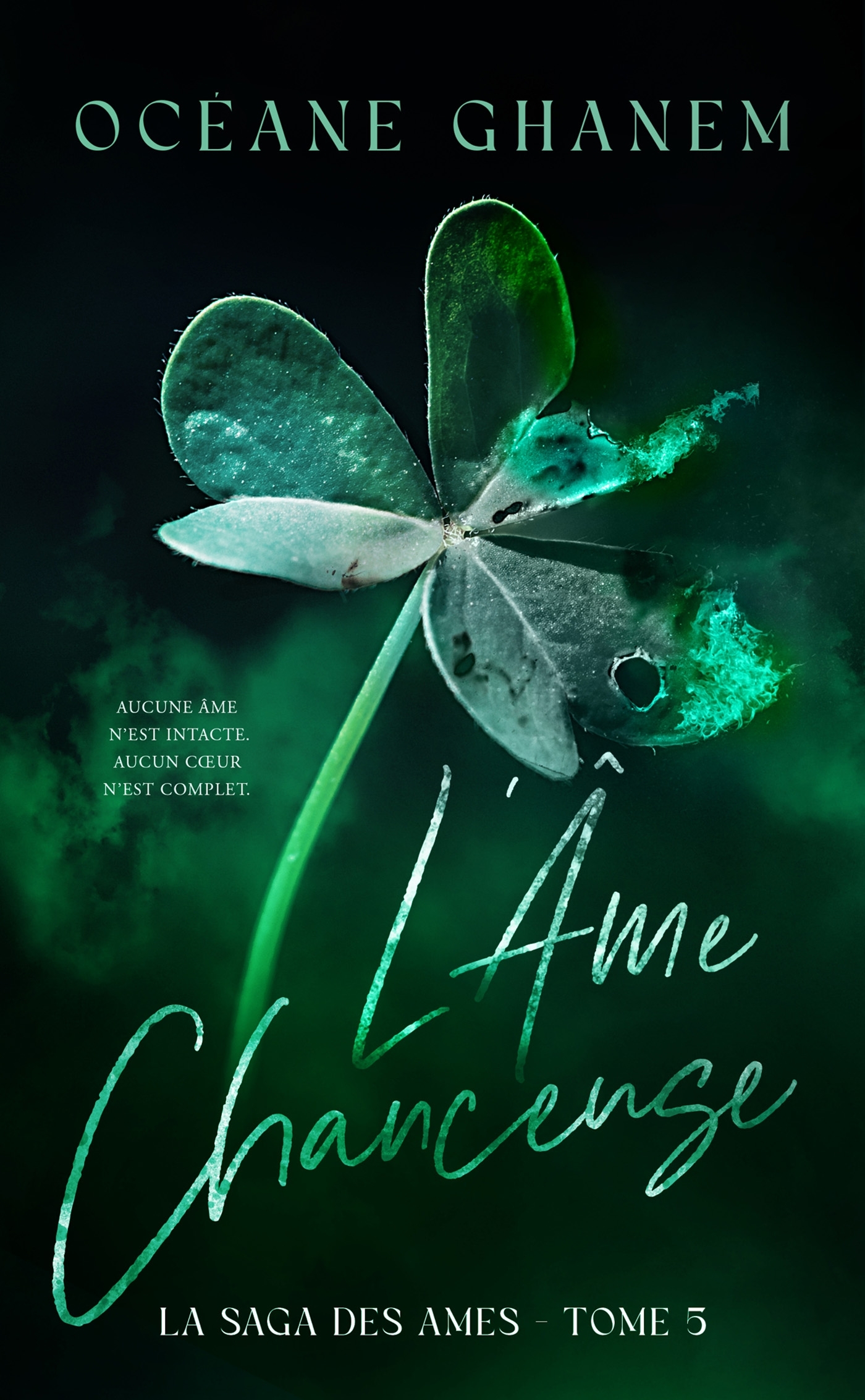 L'Âme Chanceuse  - Saga des Âmes Tome 5 - Océane Ghanem - HACHETTE HLAB