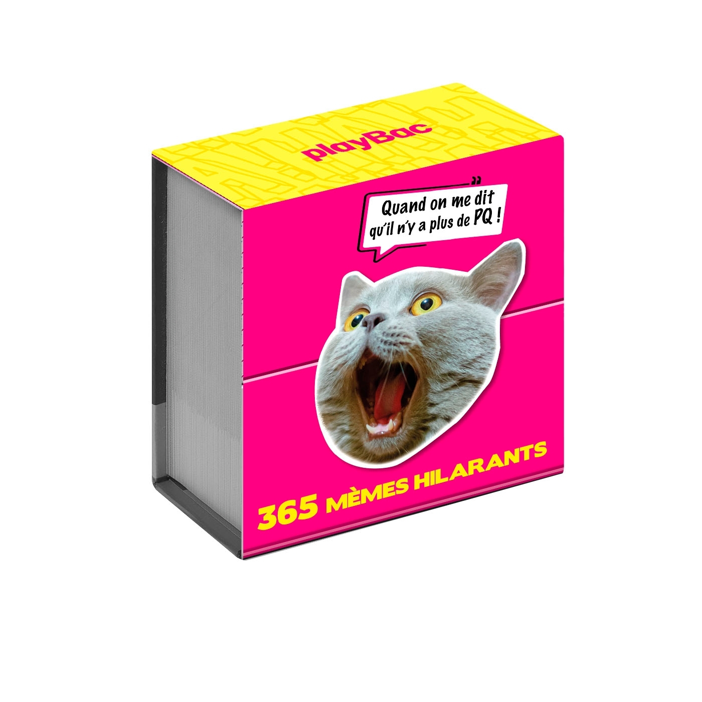 Mini Calendrier - 365 mèmes hilarants -   - PLAY BAC