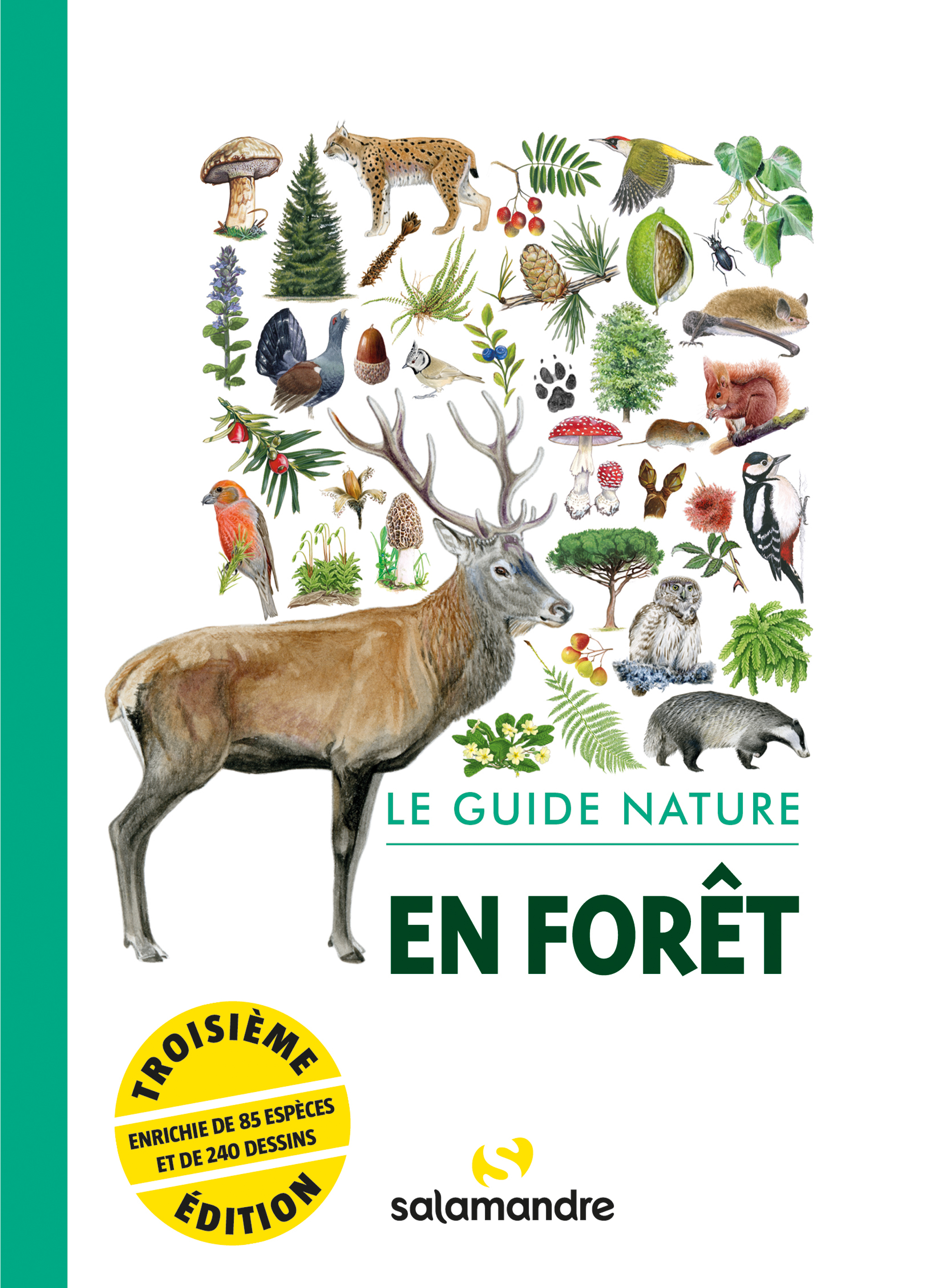 Le guide nature en forêt -  Collectif - LA SALAMANDRE