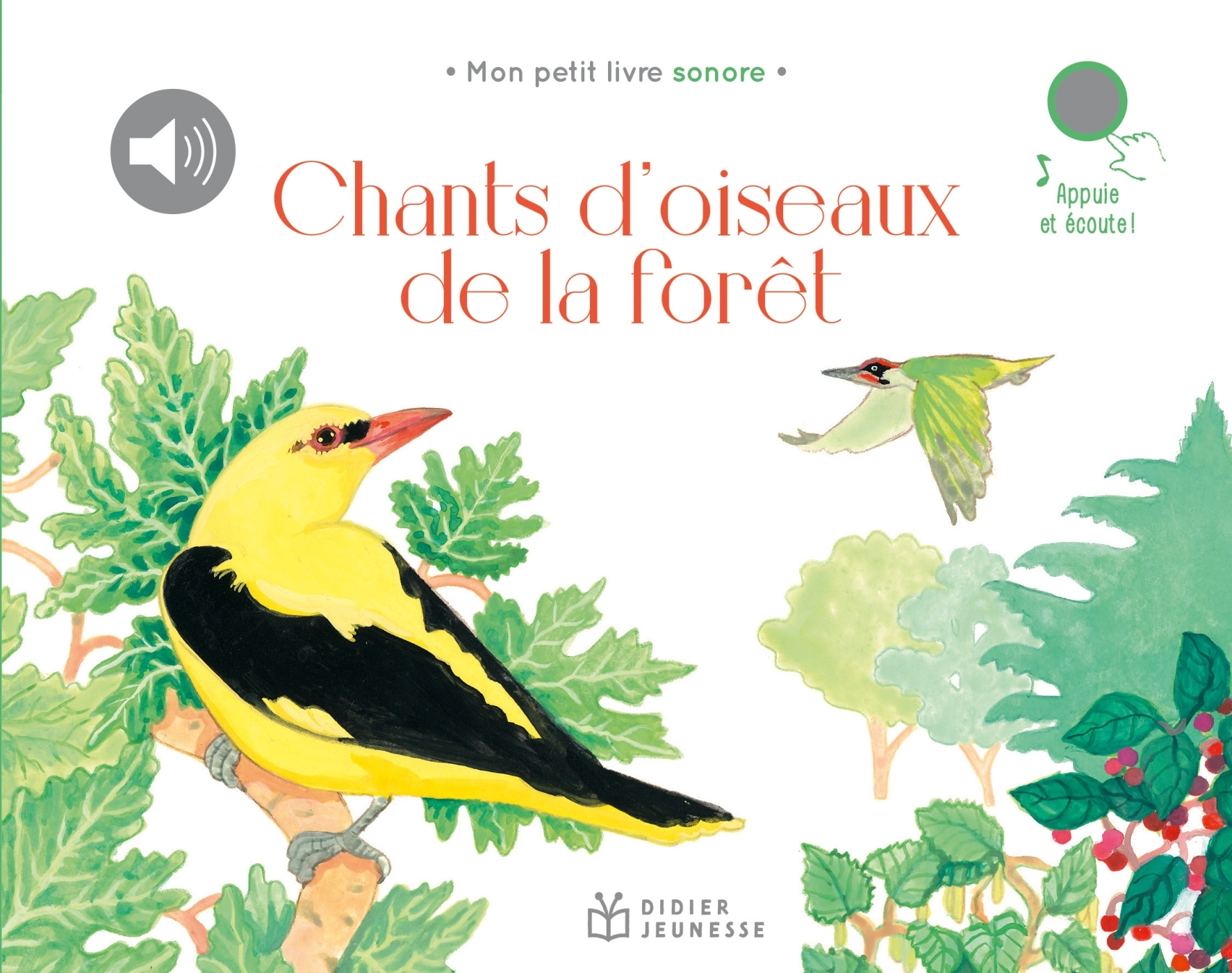 Chants d'oiseaux de la forêt -   - DIDIER JEUNESSE