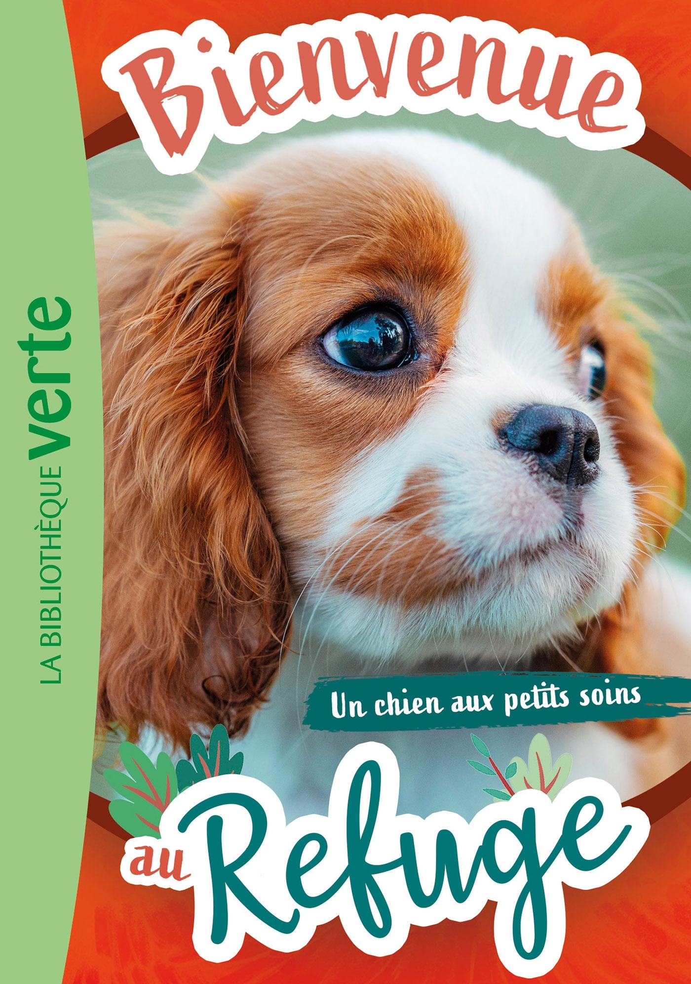 Bienvenue au refuge 13 - Un chien aux petits soins - Hachette Livre, Pascal Ruter - HACHETTE JEUN.