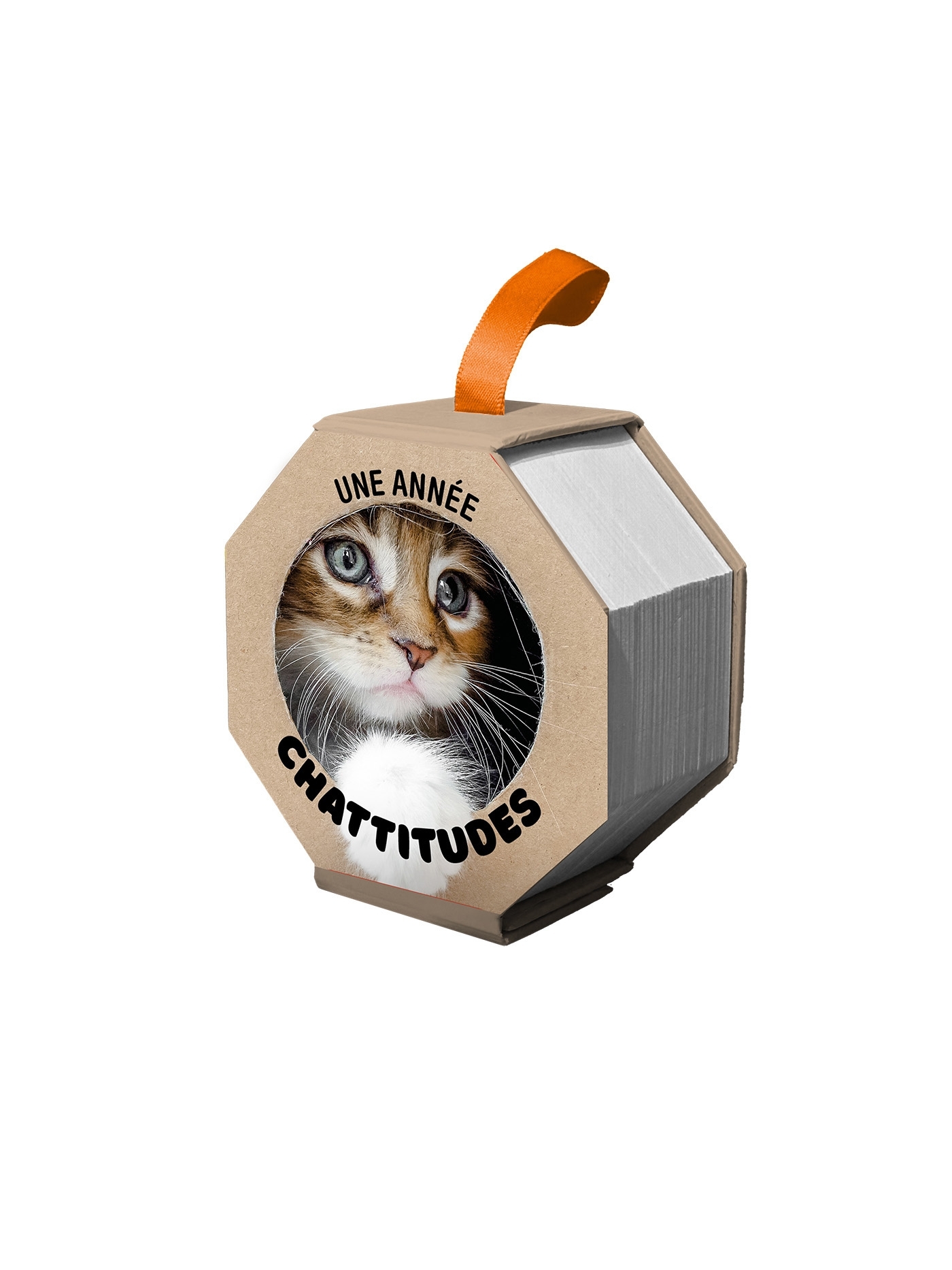 Ephéméride - Une année chattitude -  - LAROUSSE