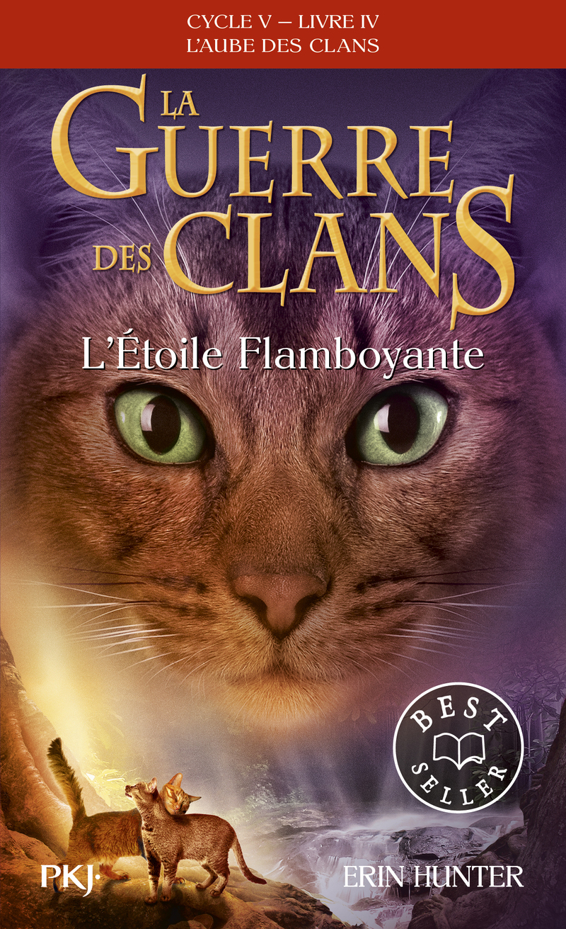 La guerre des Clans cycle V - tome 4 L'Etoile Flamboyante - Erin Hunter - POCKET JEUNESSE