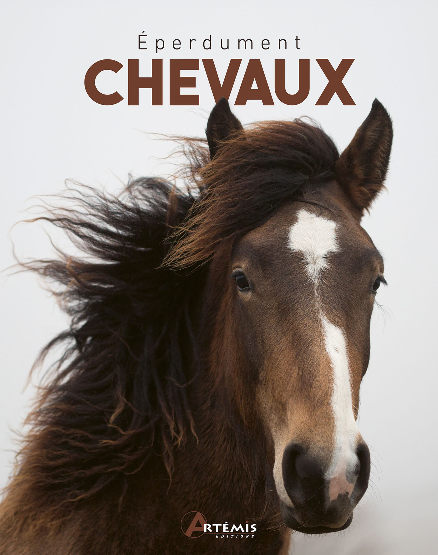 EPERDUMENT CHEVAUX -  Collectif, Laurence Barruel - ARTEMIS
