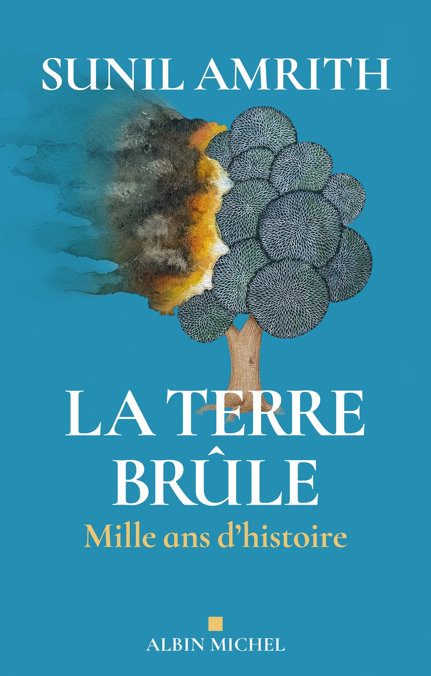 La Terre brûle - Sunil Amrith - ALBIN MICHEL