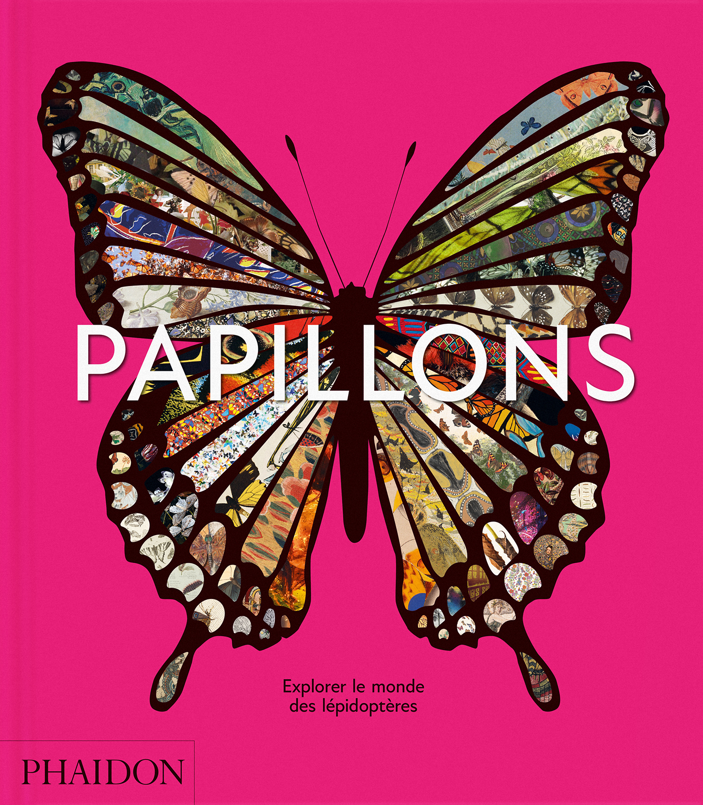 Papillons -  PHAIDON - PHAIDON FRANCE
