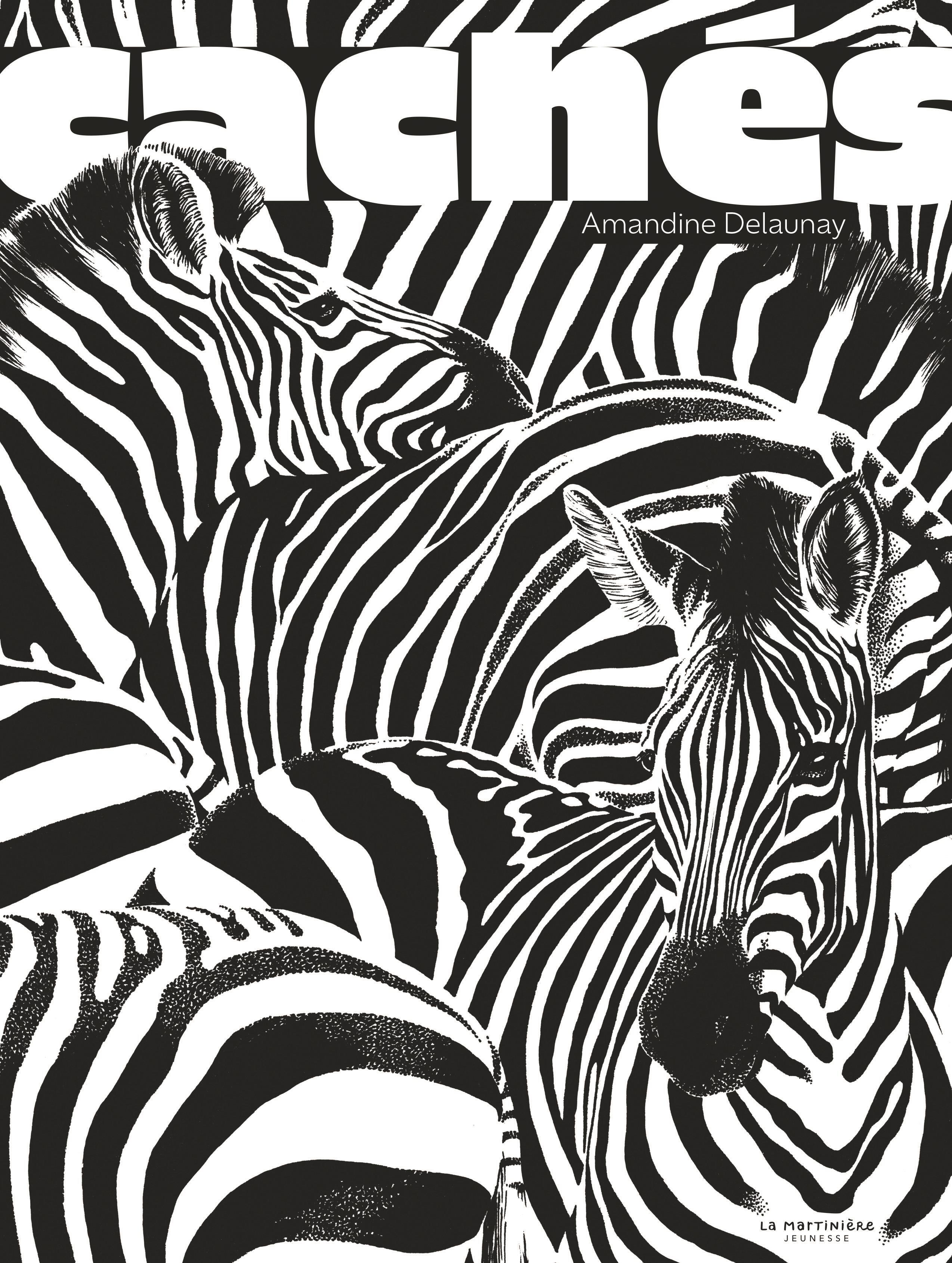 Cachés - Amandine Delaunay - MARTINIERE J