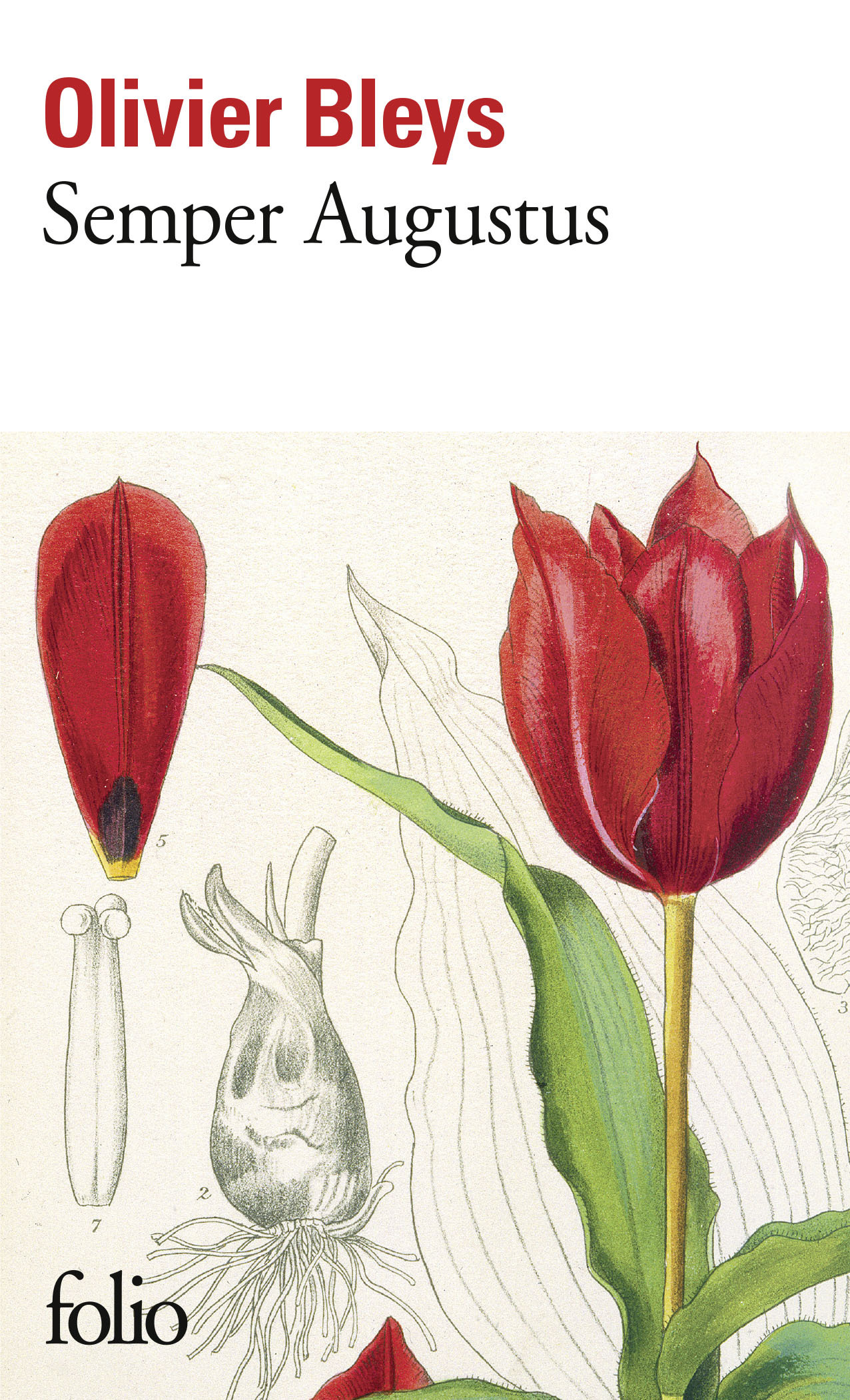 Semper Augustus - Olivier Bleys - FOLIO