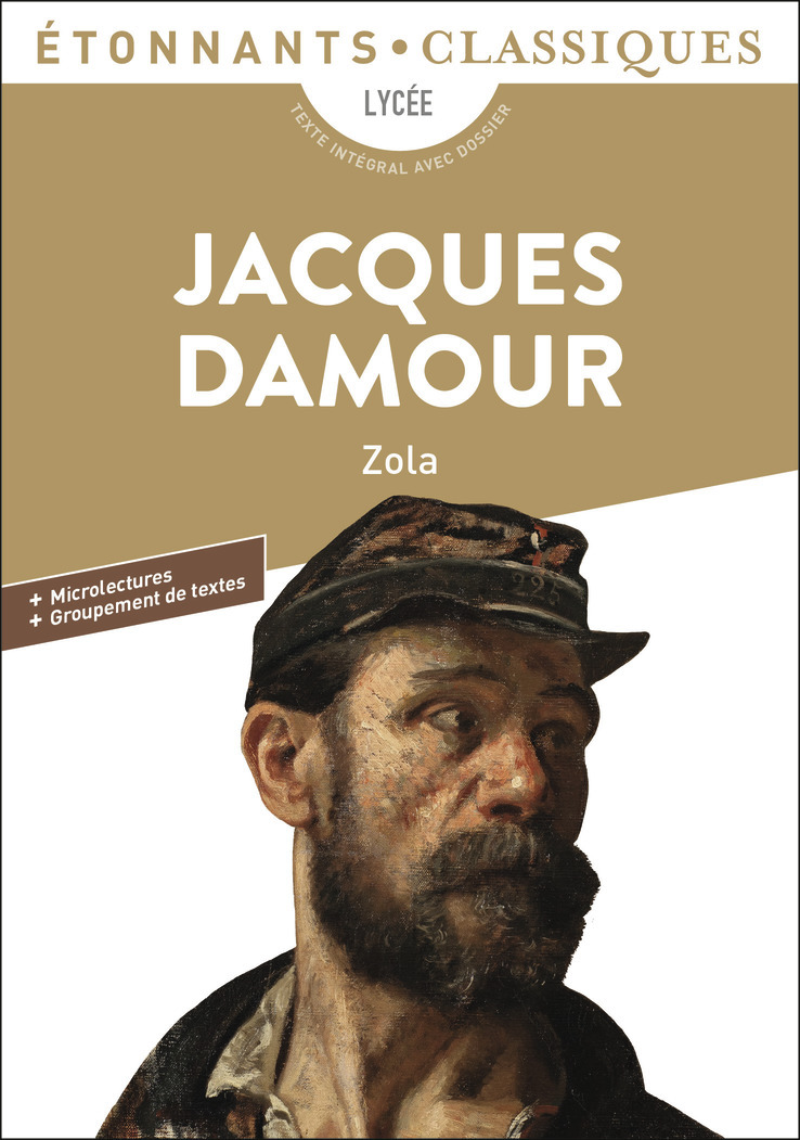 JACQUES DAMOUR - Émile Zola - FLAMMARION
