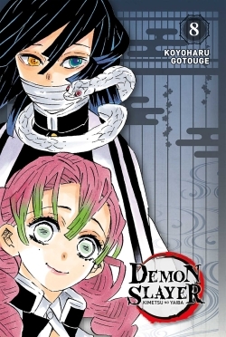 DEMON SLAYER - EDITION PILIER T08 - XXX - PANINI