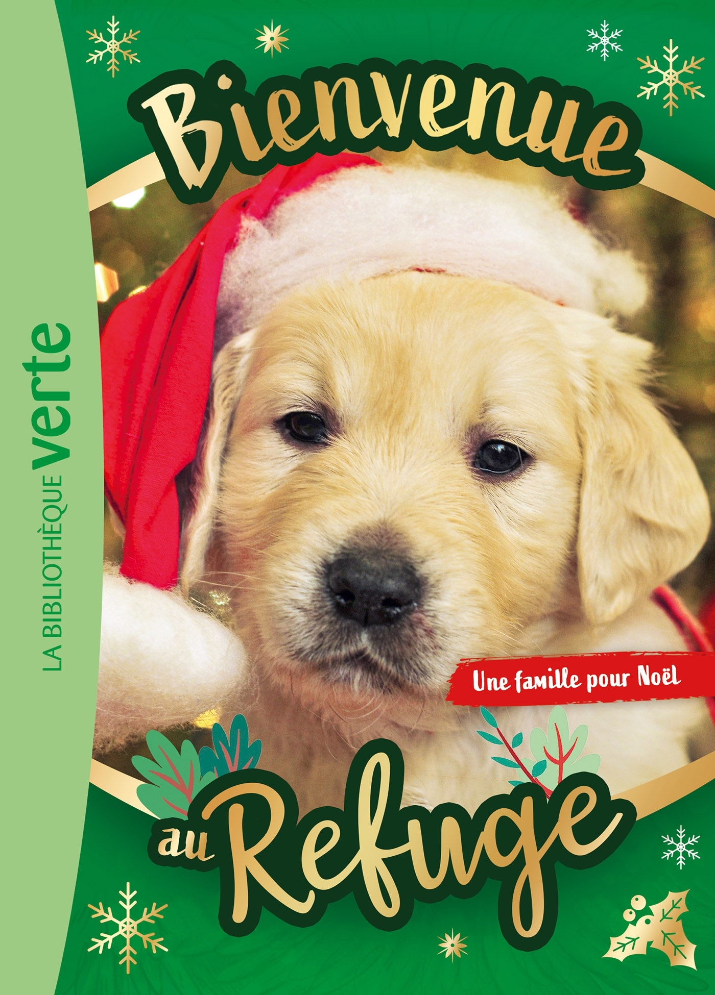 Bienvenue au refuge XXL - Une famille pour Noël - Hachette Livre, Pascal Ruter - HACHETTE JEUN.