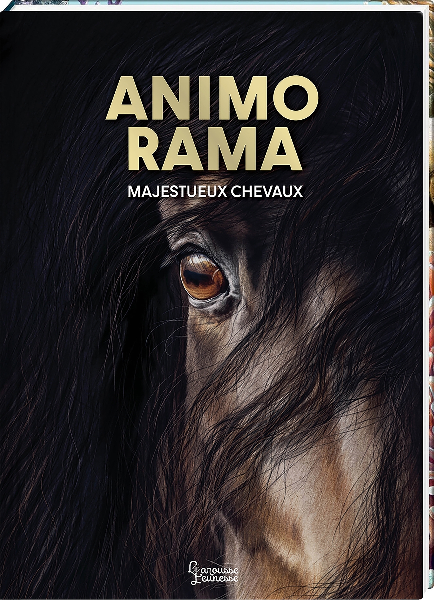 ANIMO RAMA Majestueux chevaux - Susan Niessen - LAROUSSE