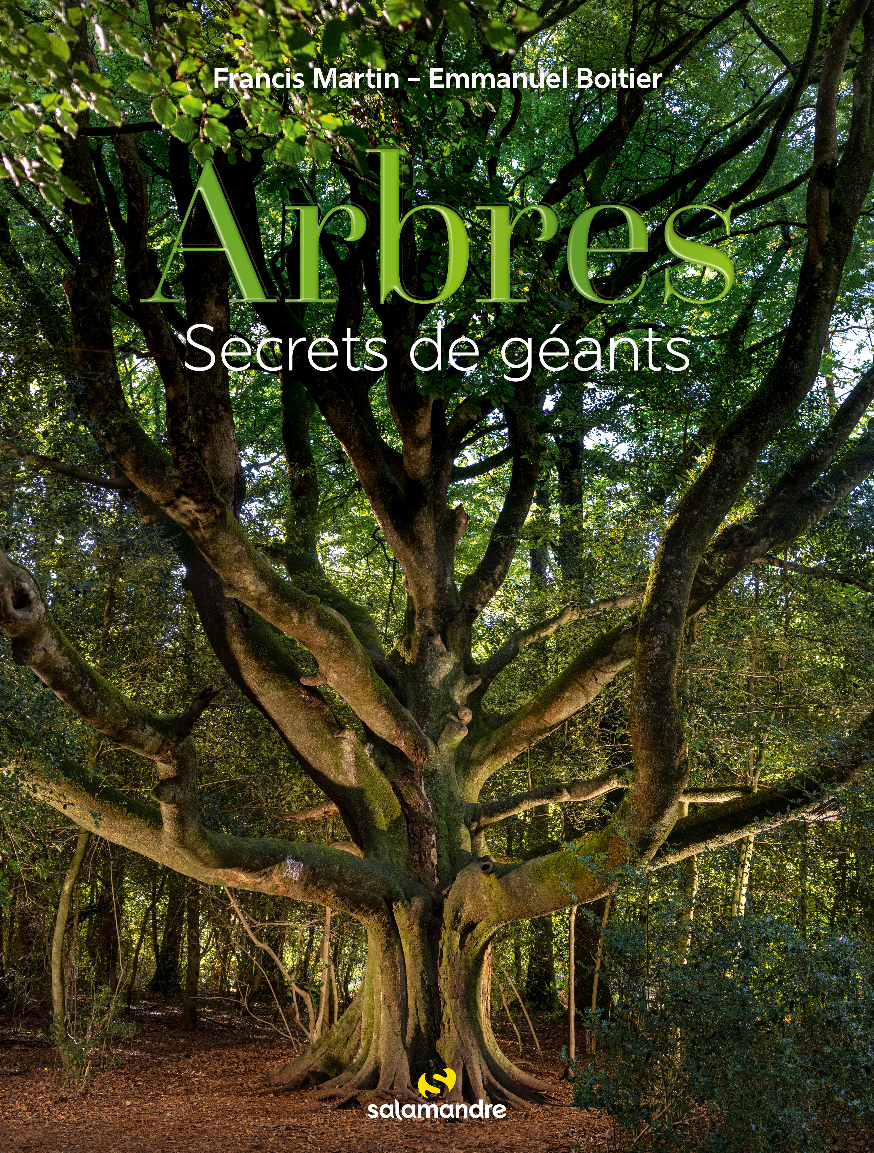 Arbres, secrets de géants - Francis Martin - LA SALAMANDRE