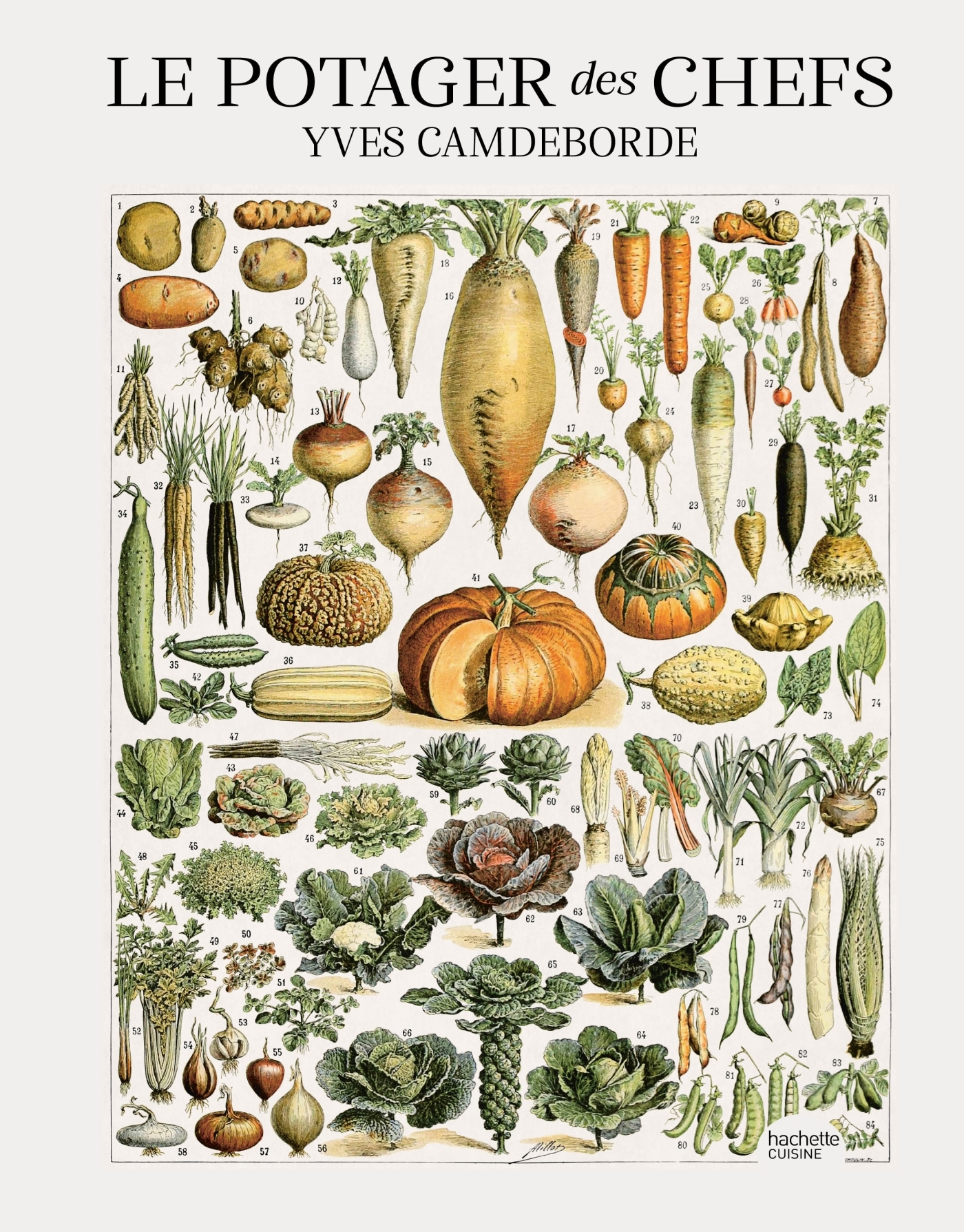 Le potager des chefs - Yves Camdeborde - HACHETTE PRAT
