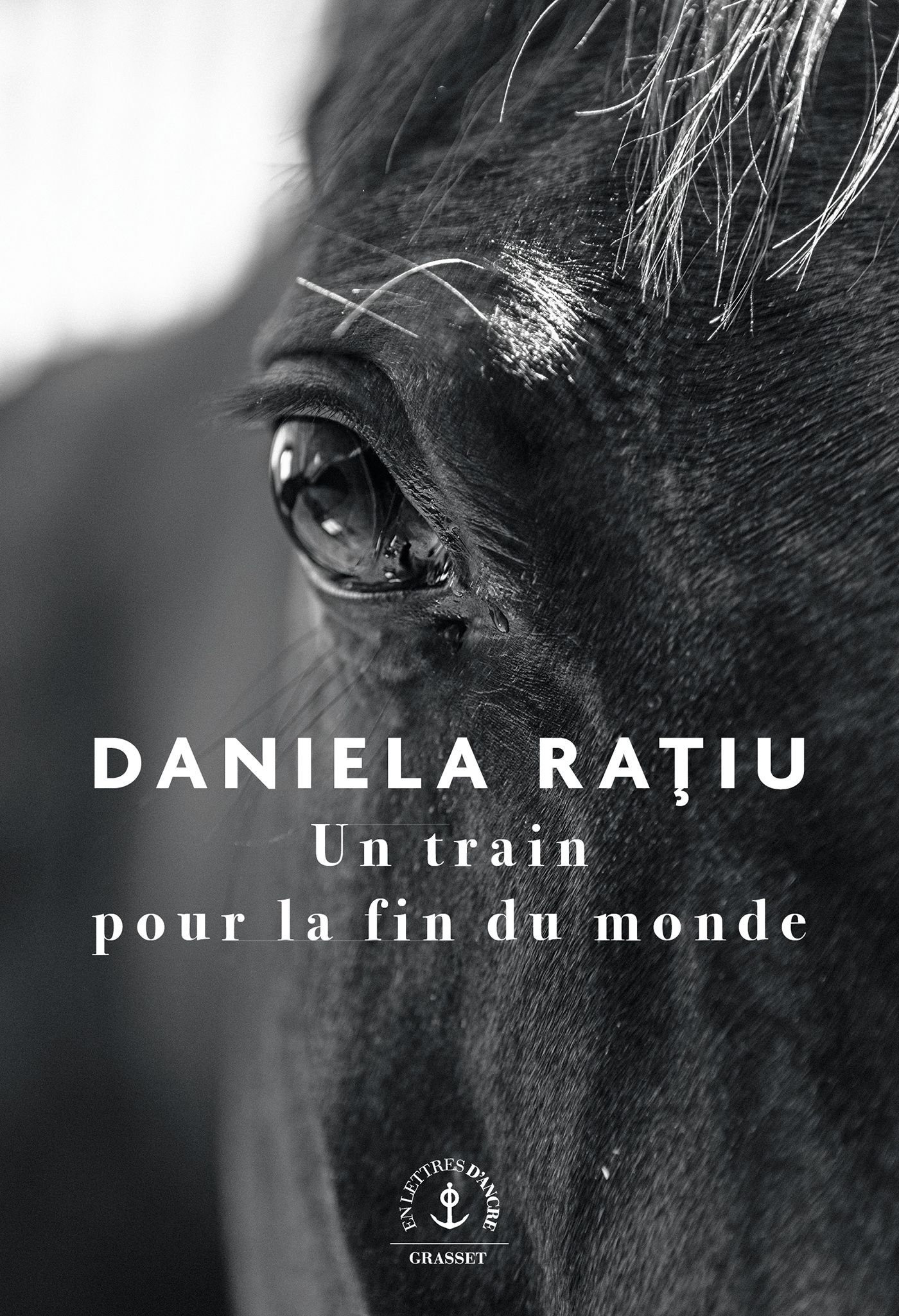 Un train pour la fin du monde - Daniela Ratiu - GRASSET