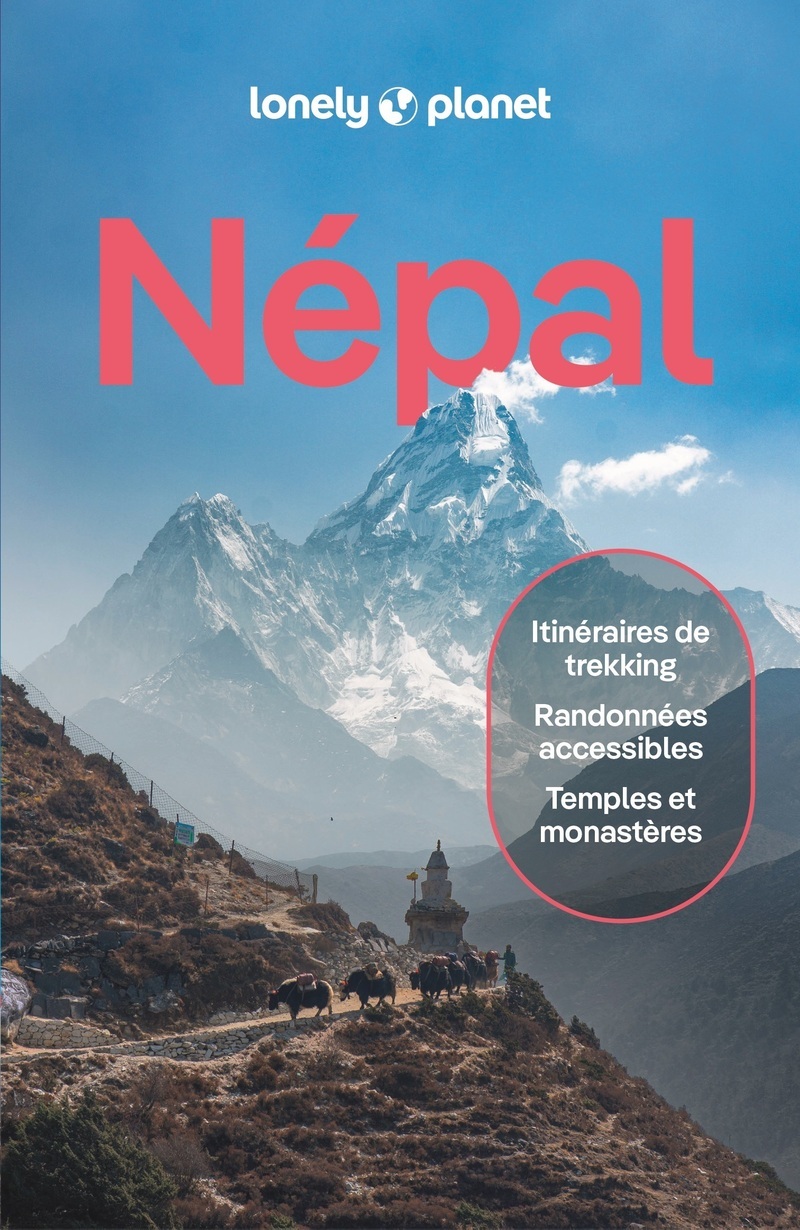 Népal 11ed -  Lonely Planet - LONELY PLANET