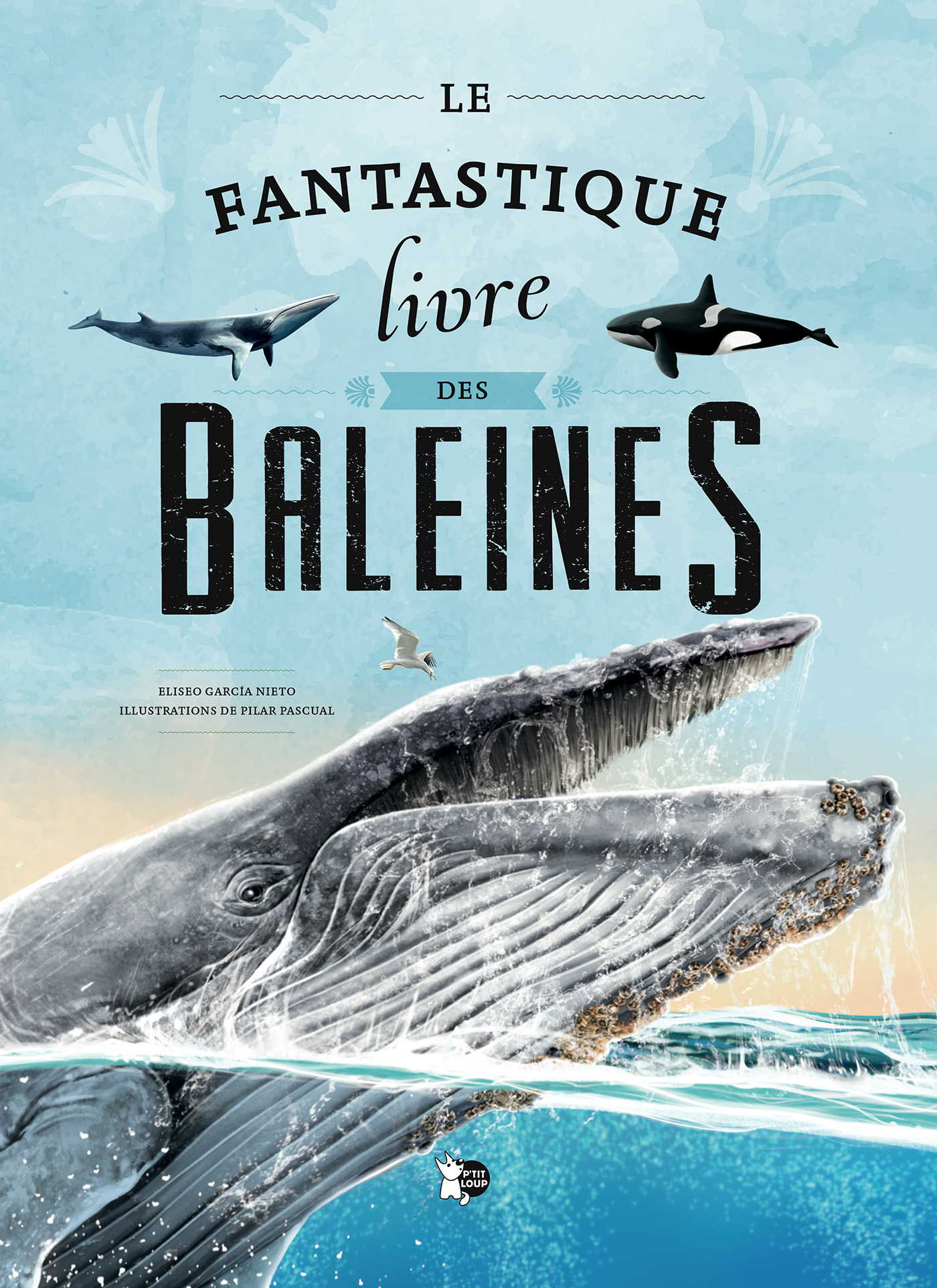 Le fantastique livre des baleines -  Collectif - PTIT LOUP