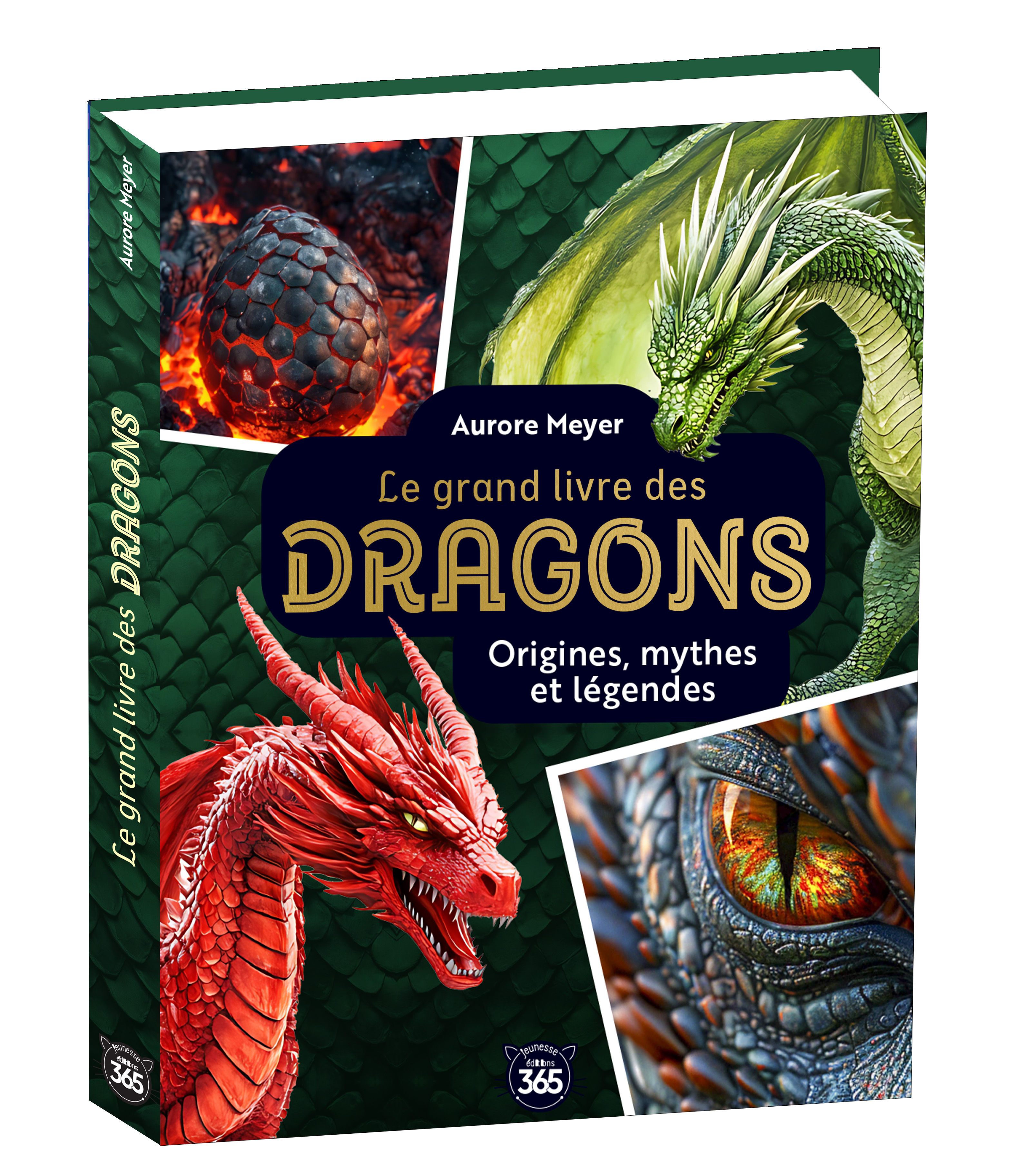 Mon grand livre des dragons -  - 365 PARIS