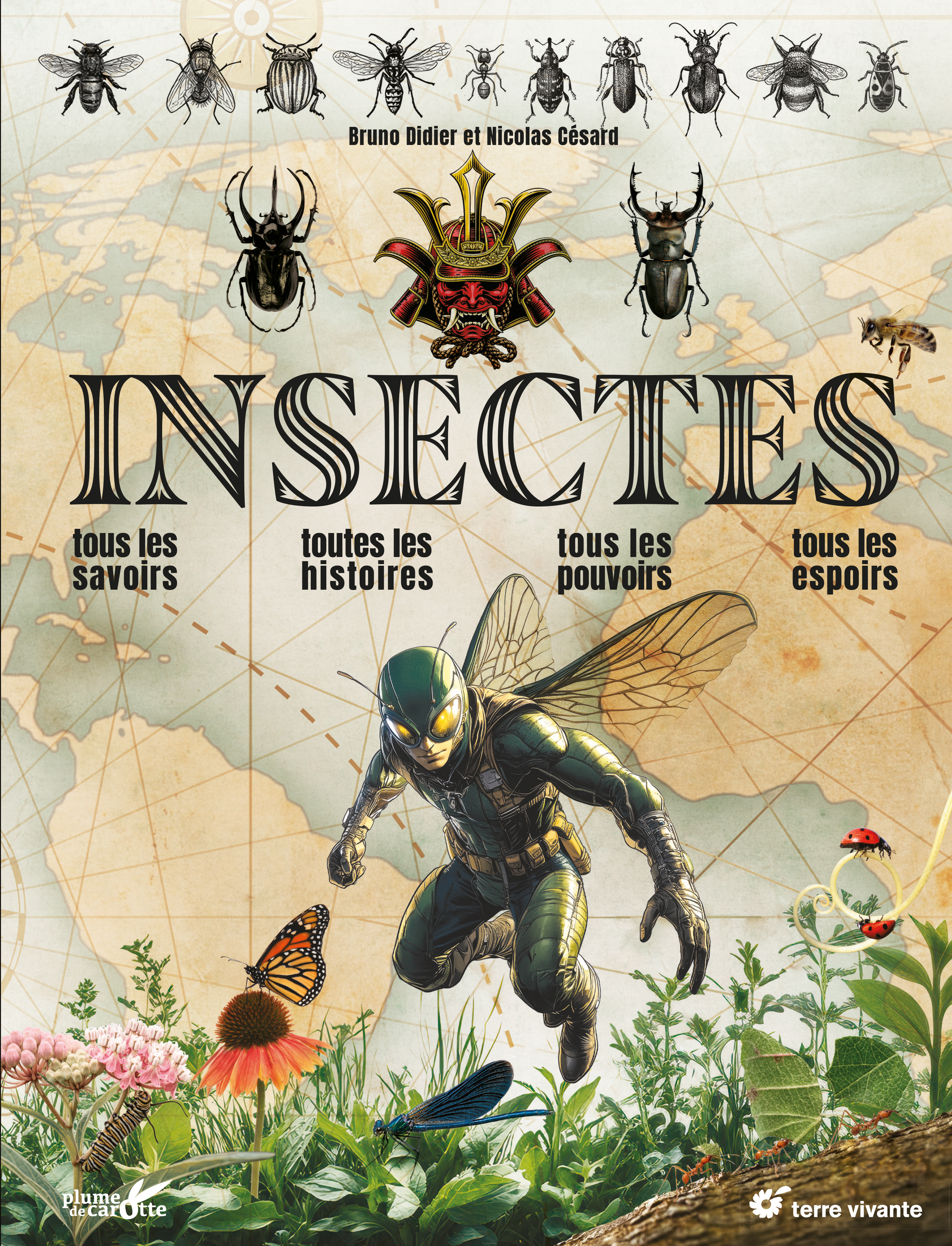 Insectes - Nicolas Césard, Dinier Bruno, Bruno Didier - TERRE VIVANTE